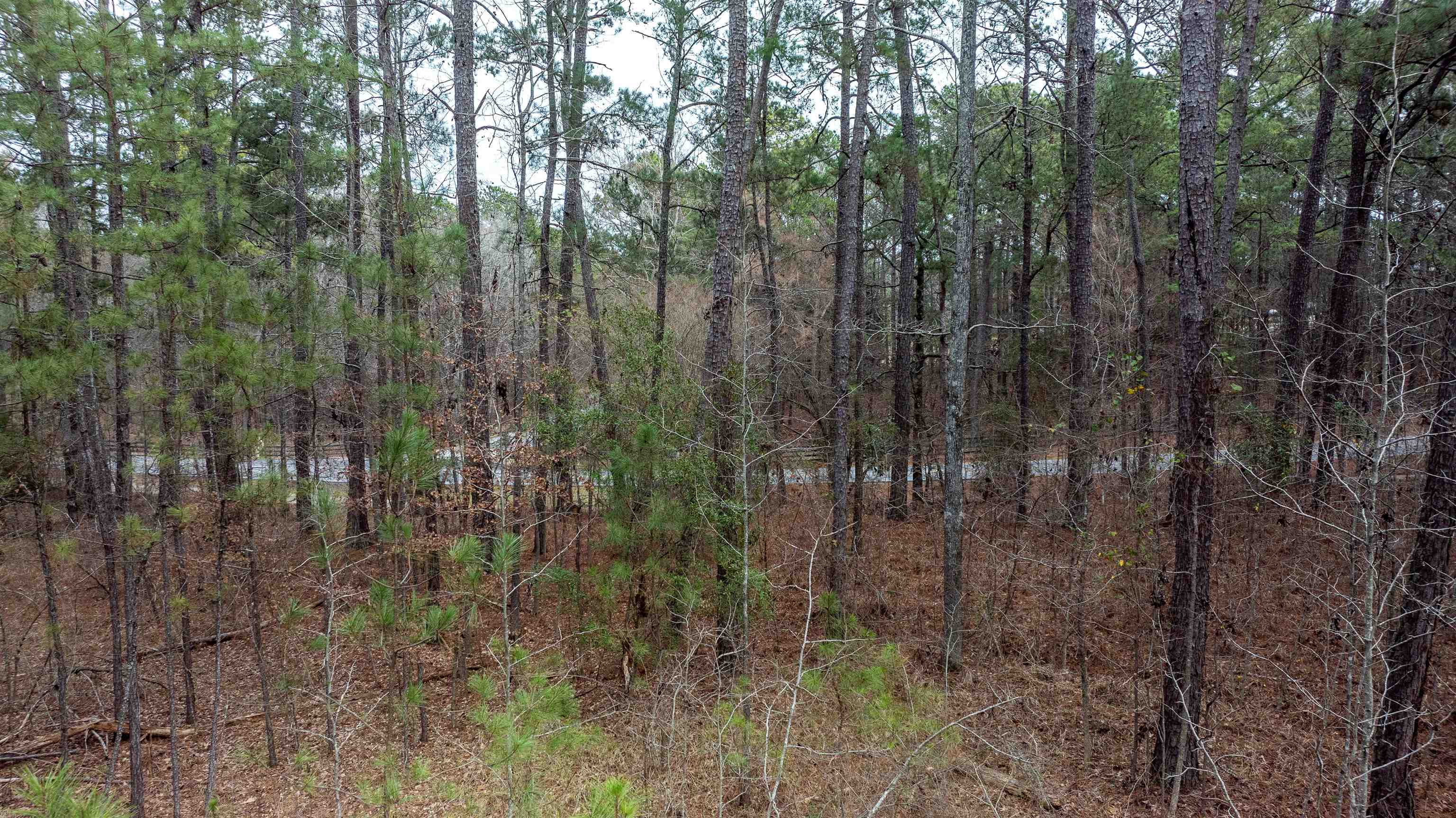 1010 Planters Trail image 3