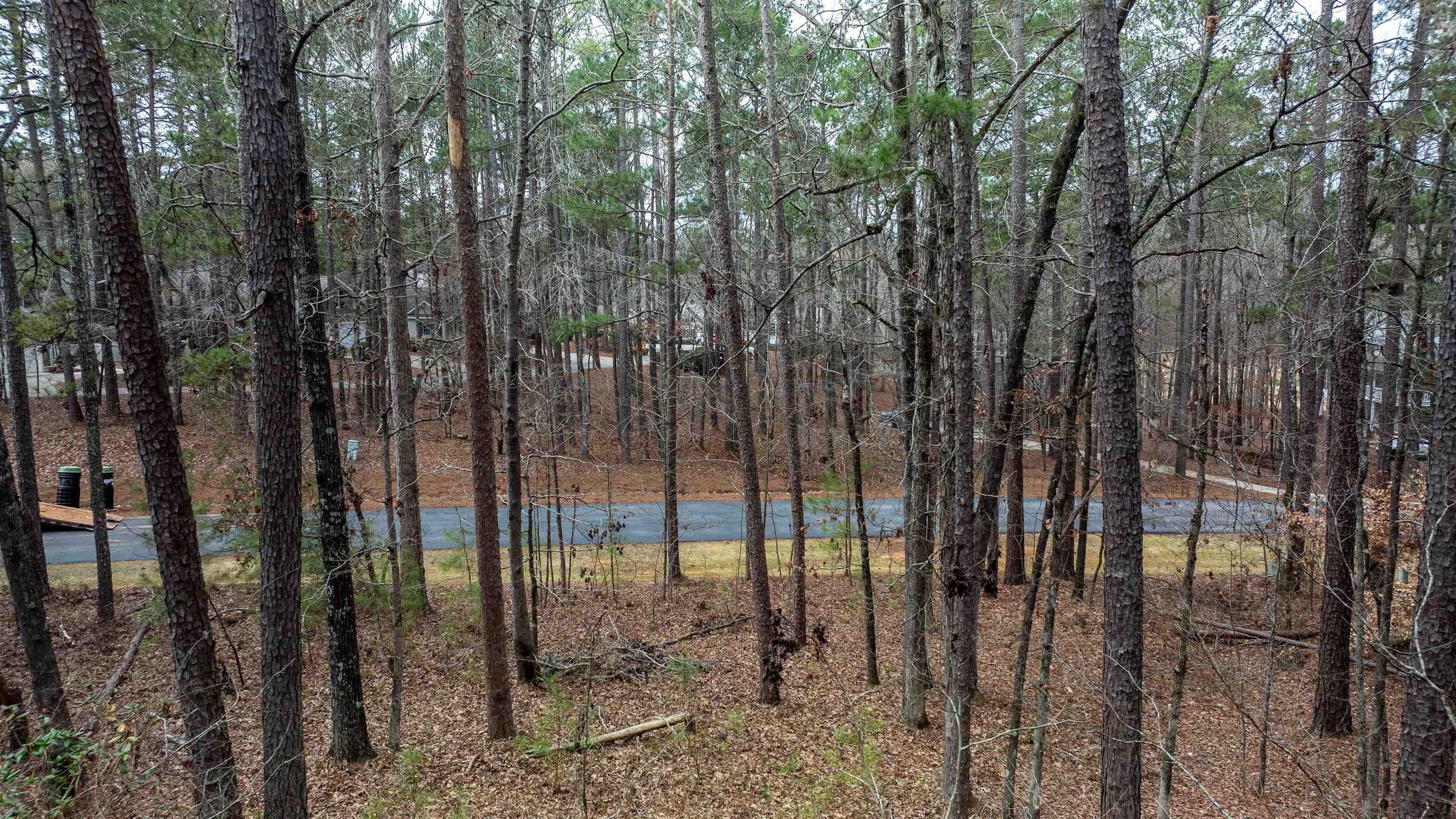 1010 Planters Trail image 4