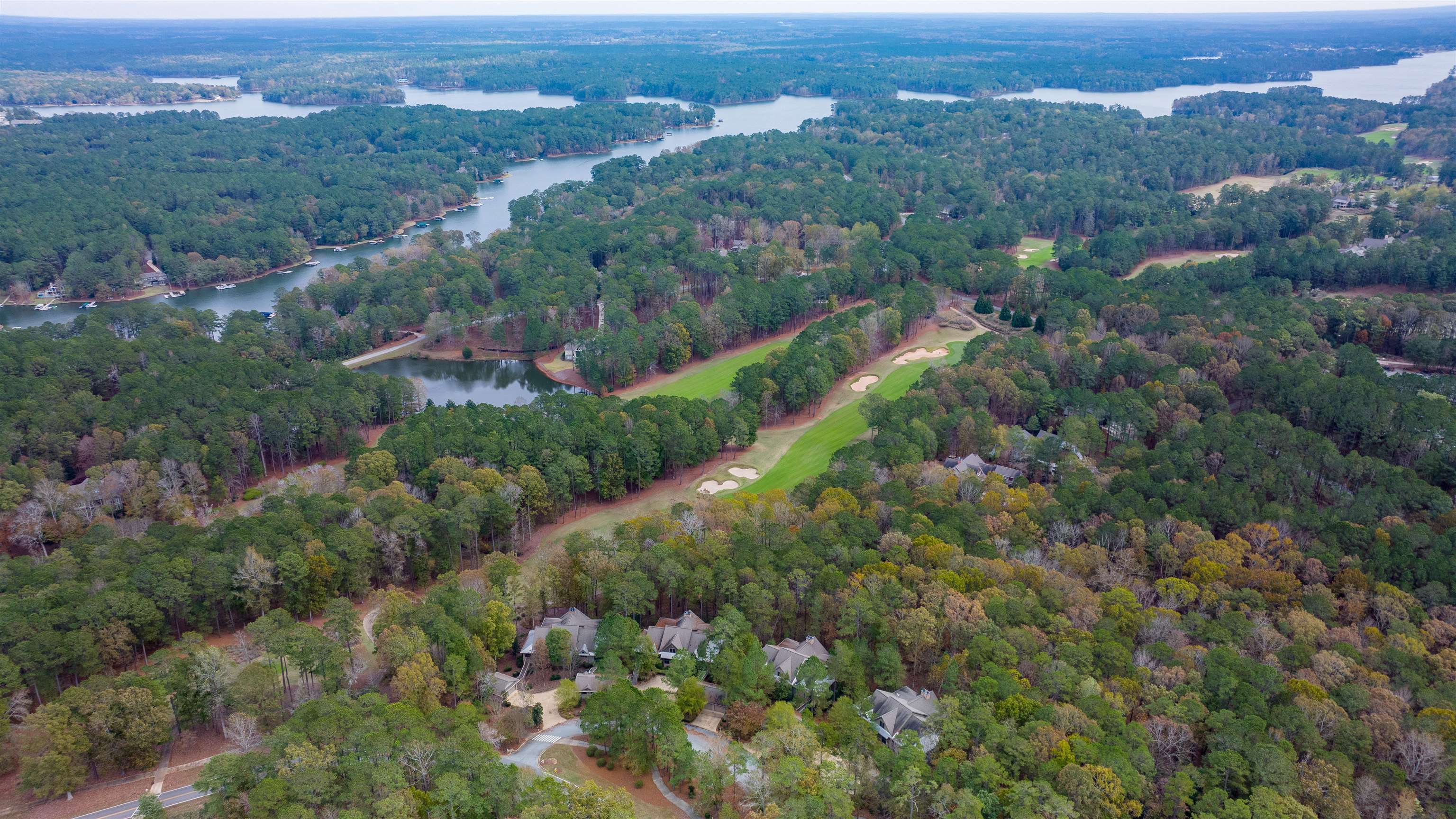 1070 SALLIES VIEW image 12