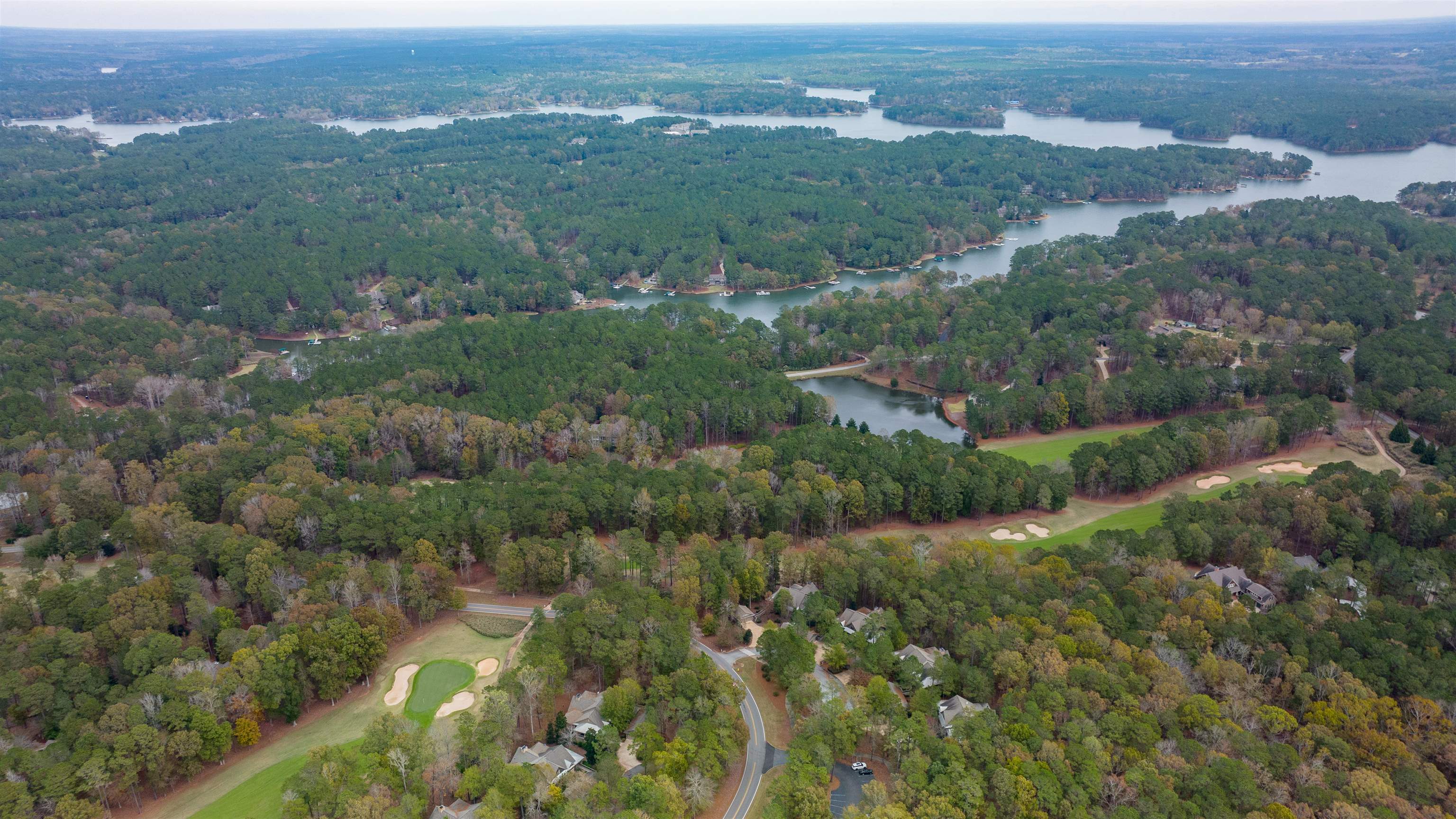 1070 SALLIES VIEW image 13