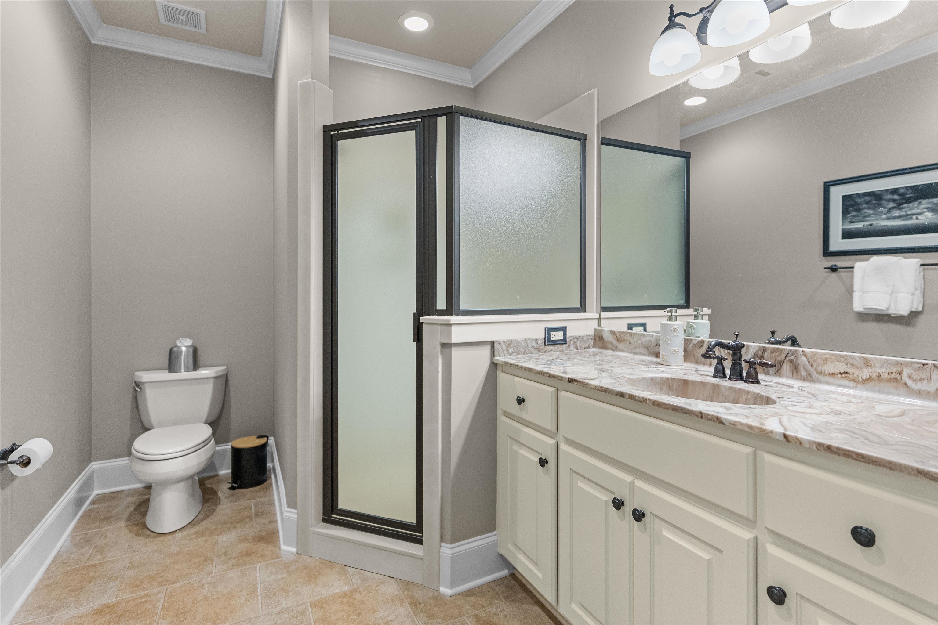 1070 SALLIES VIEW image 41