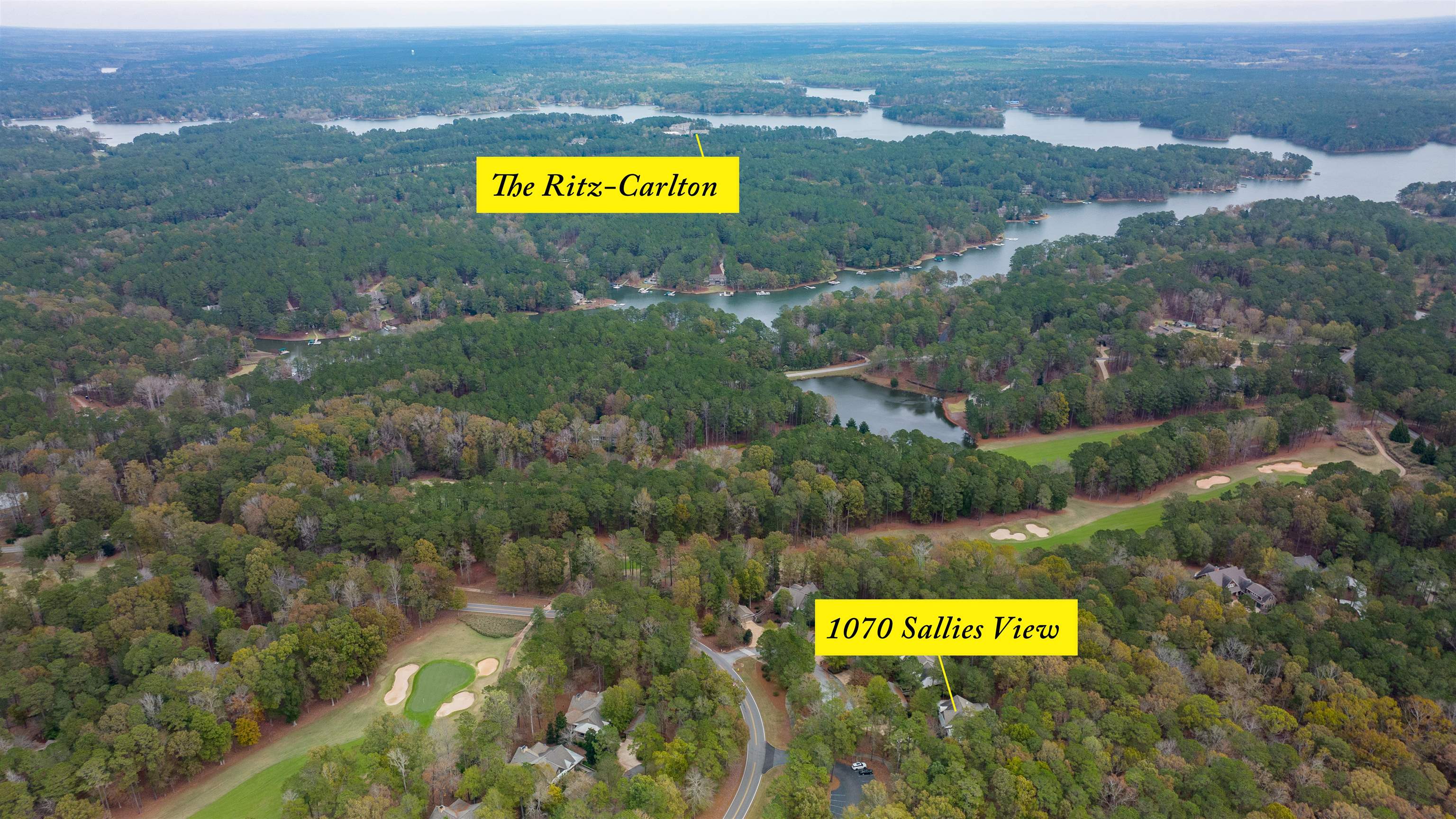 1070 SALLIES VIEW image 10