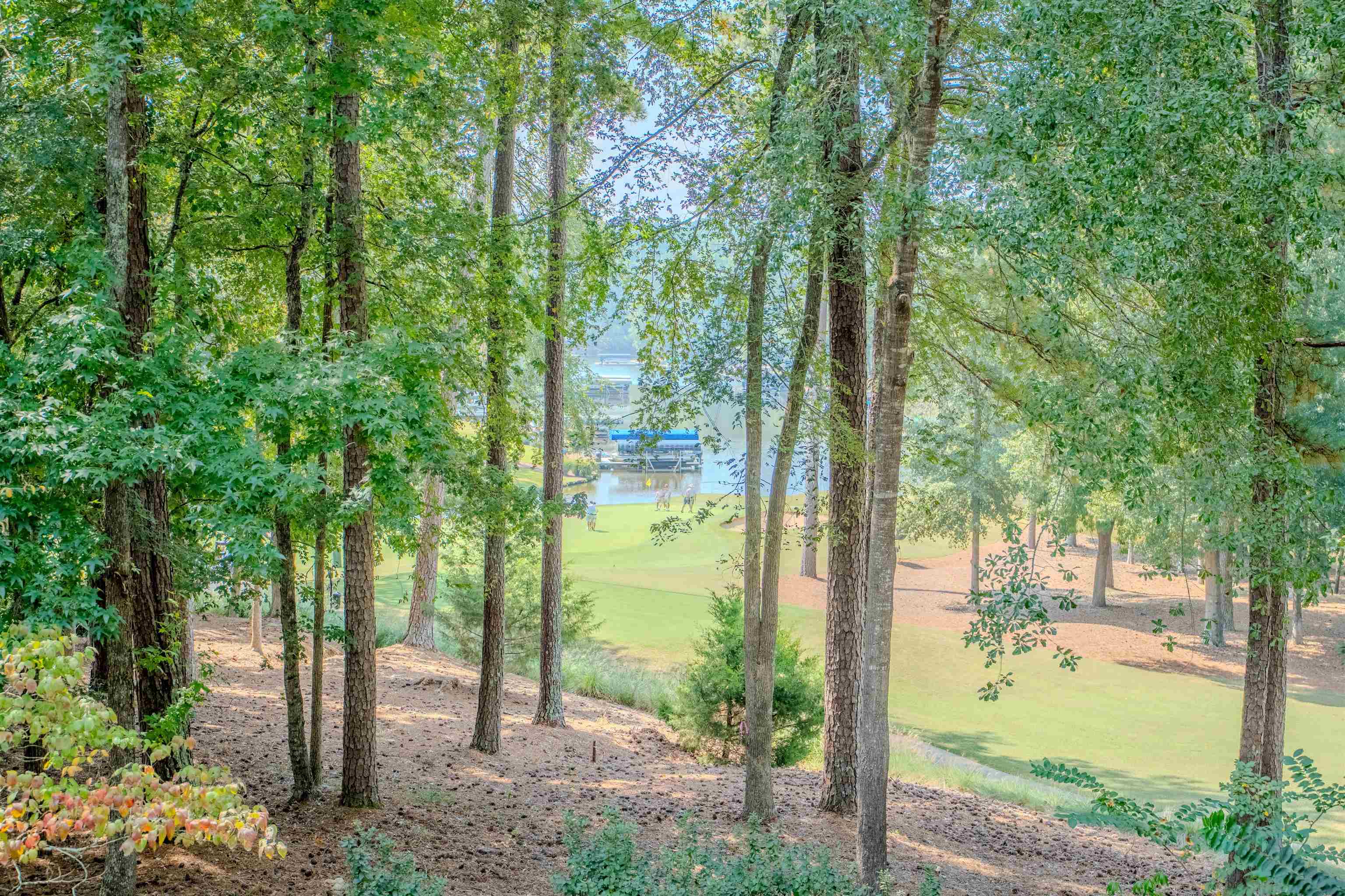 1341 PLANTERS TRAIL image 63