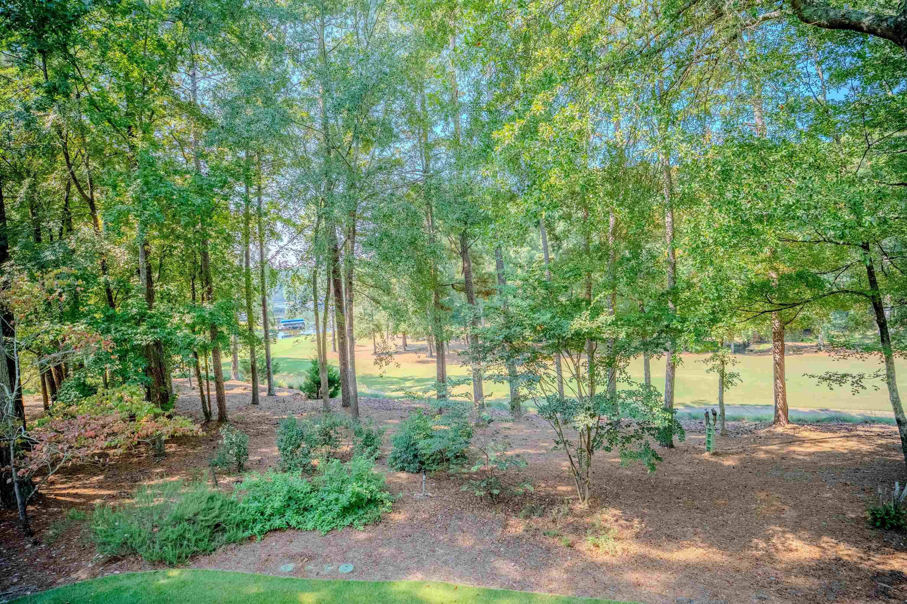 1341 PLANTERS TRAIL image 62