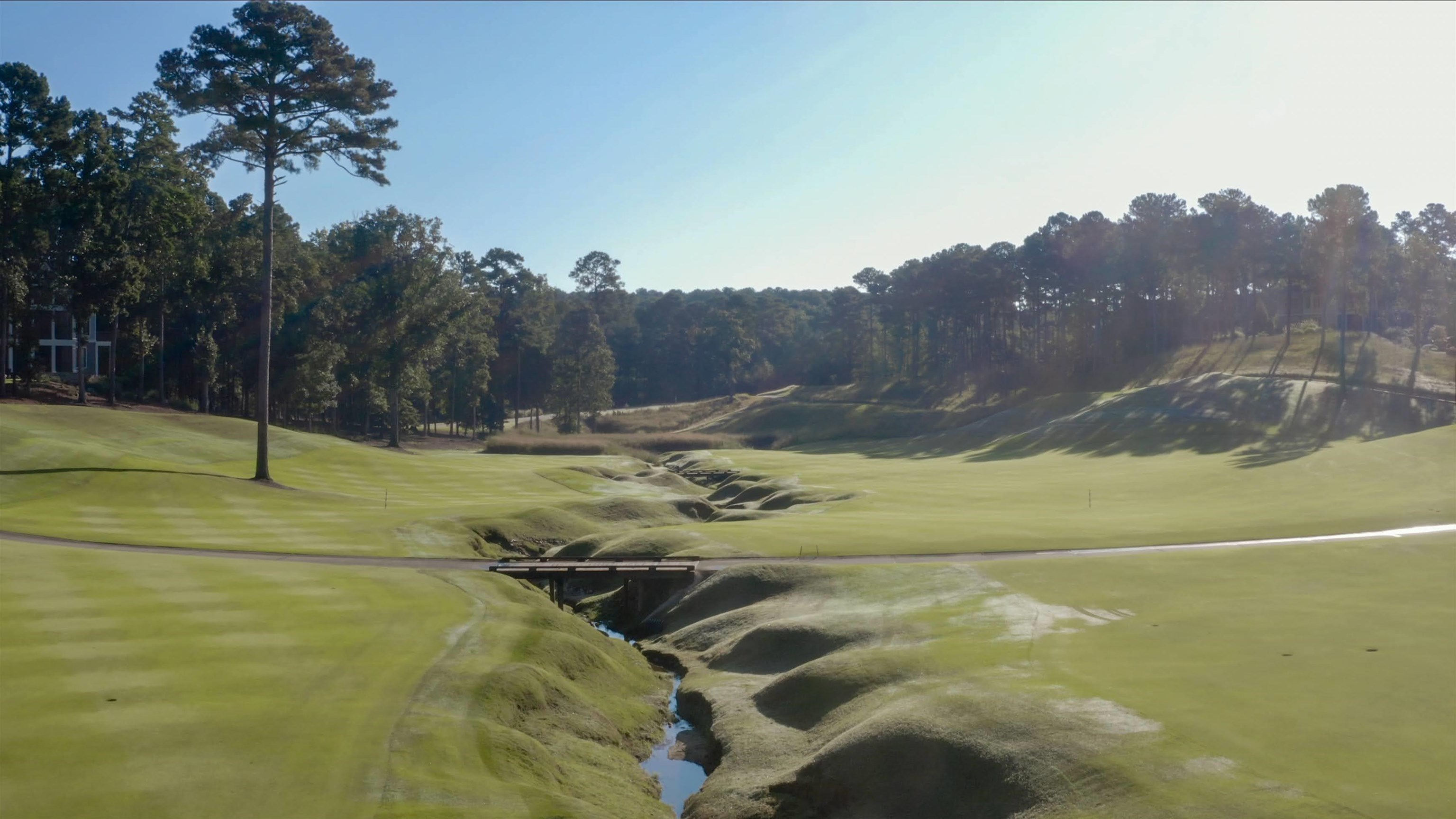 1341 PLANTERS TRAIL image 66