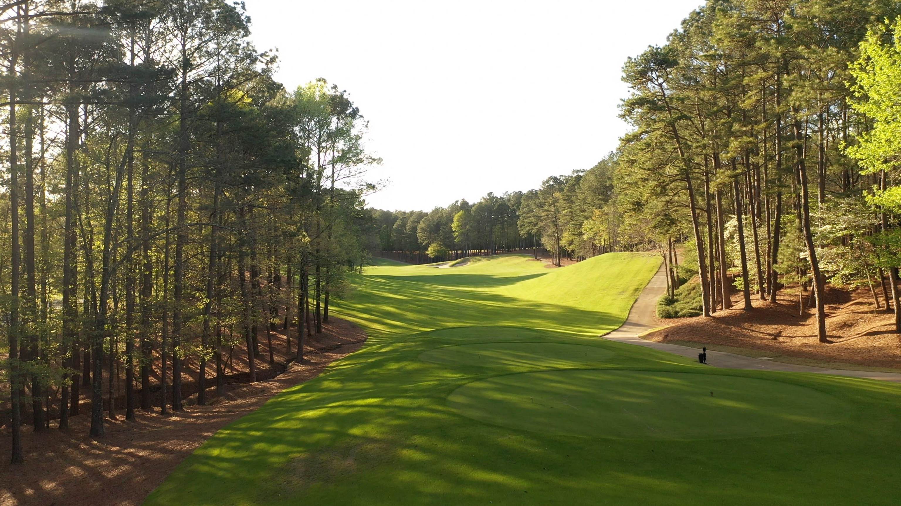 1341 PLANTERS TRAIL image 72