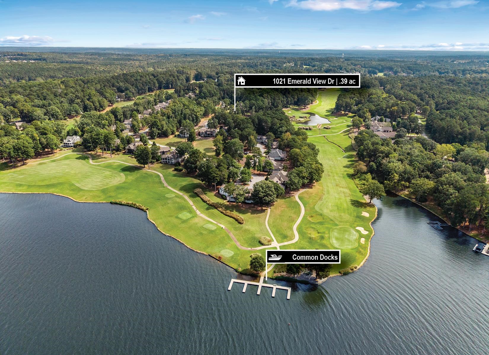 1021 EMERALD VIEW DRIVE image 4