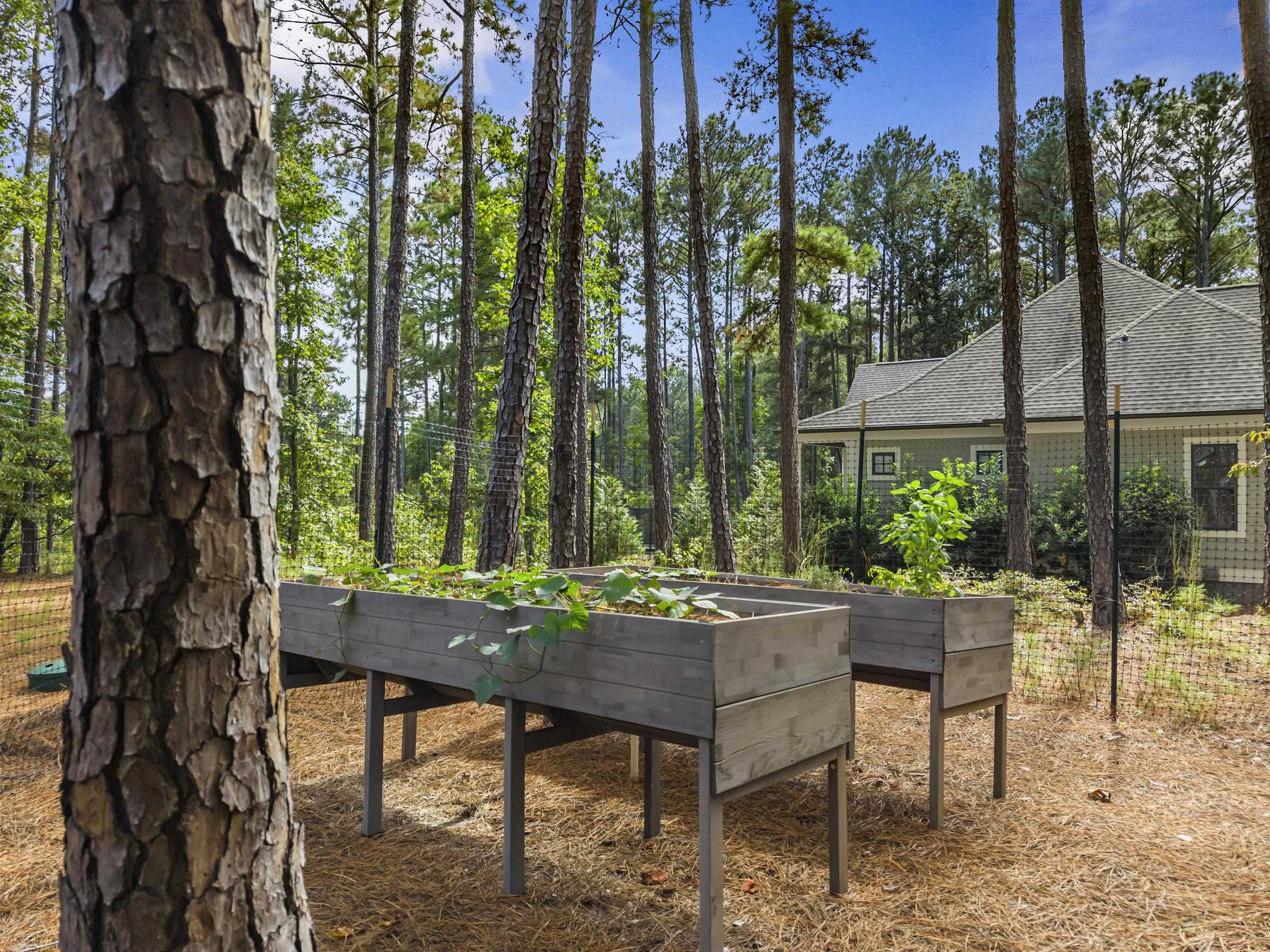 1051 ARMORS FORD image 58