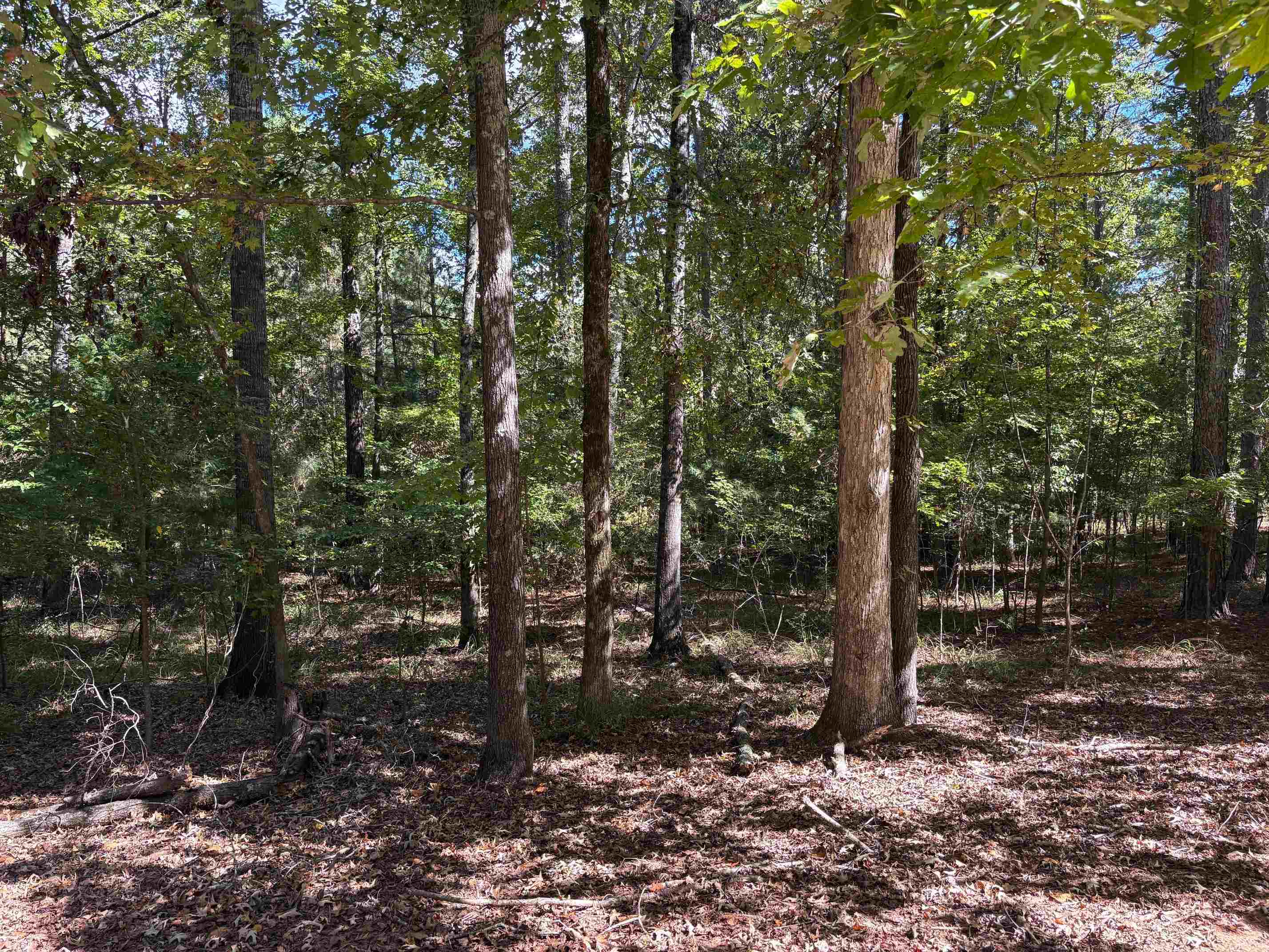 105 Porterfield Drive image 1
