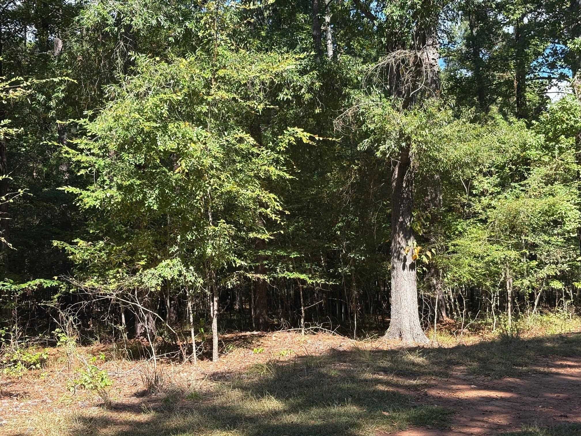 105 Porterfield Drive image 4