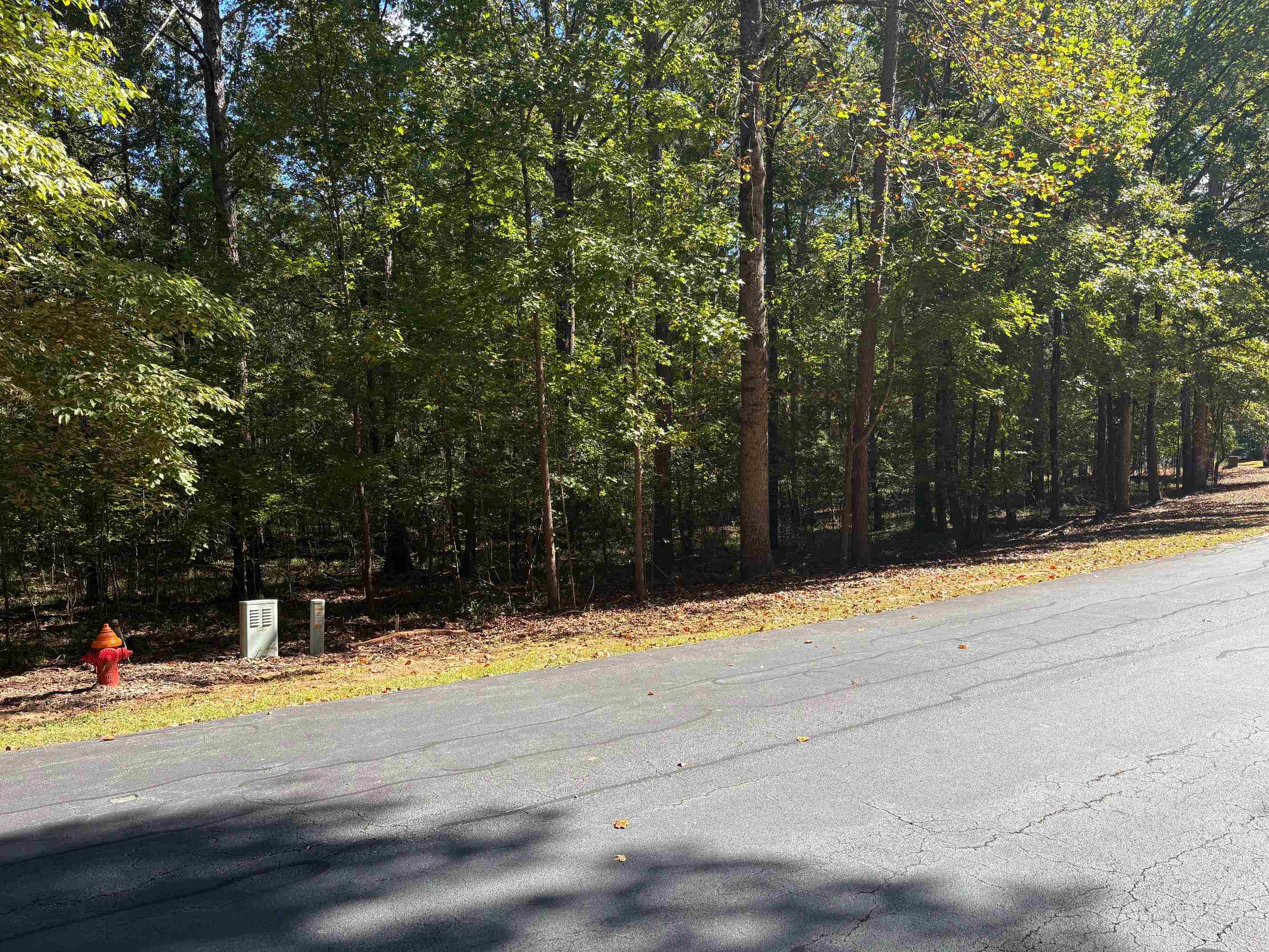 105 Porterfield Drive image 7