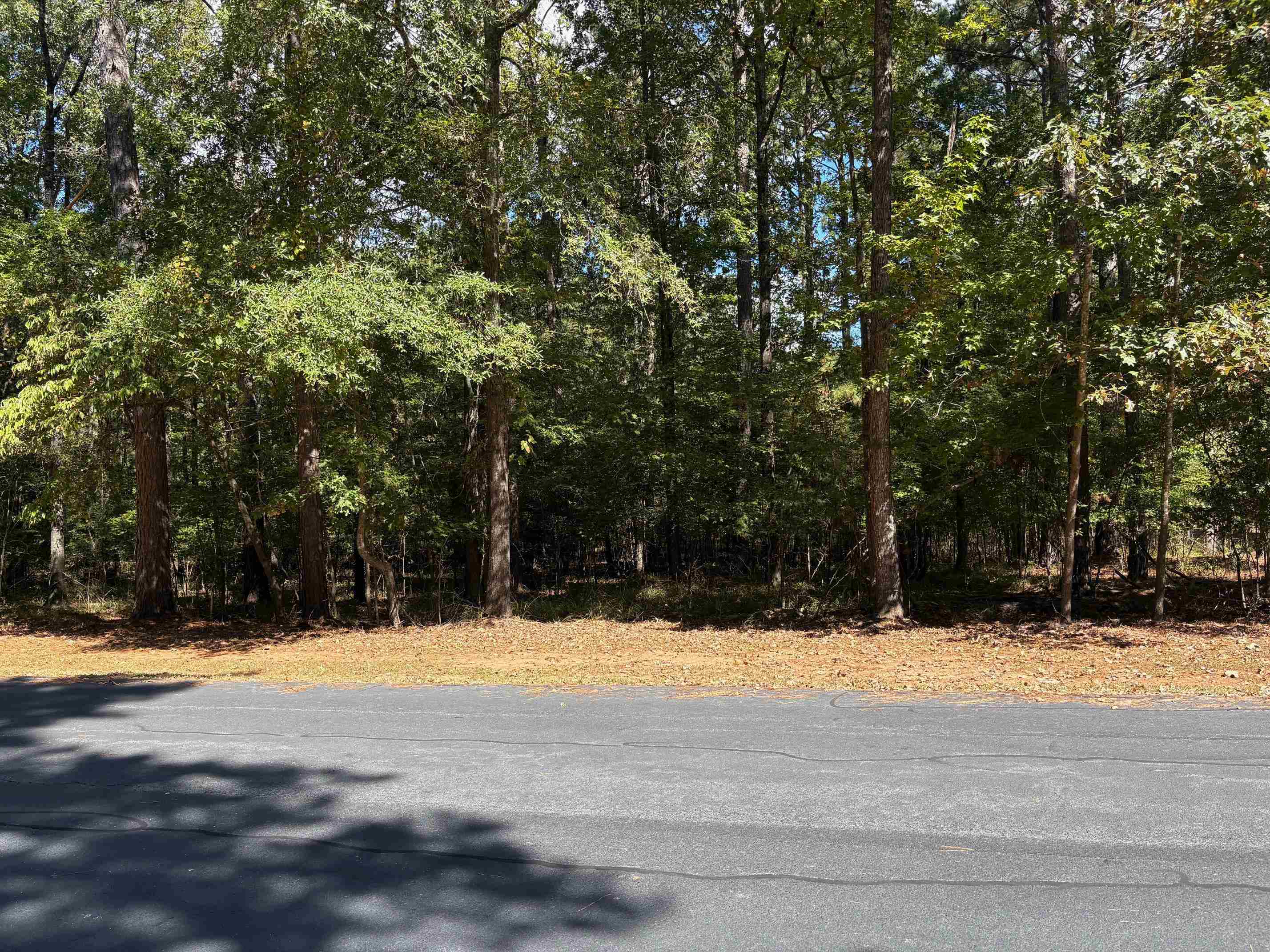105 Porterfield Drive image 6
