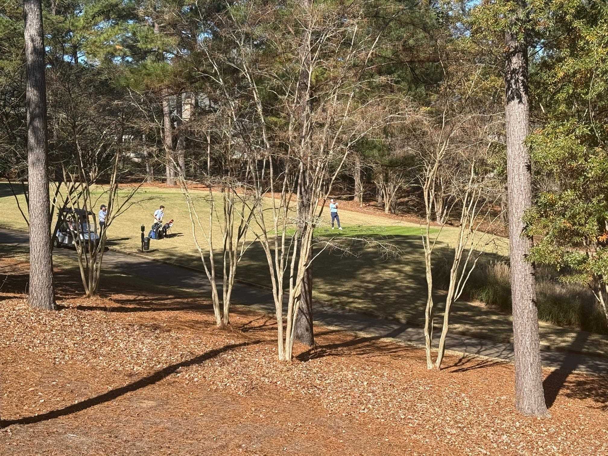 2631 PARROTTS POINT ROAD image 25