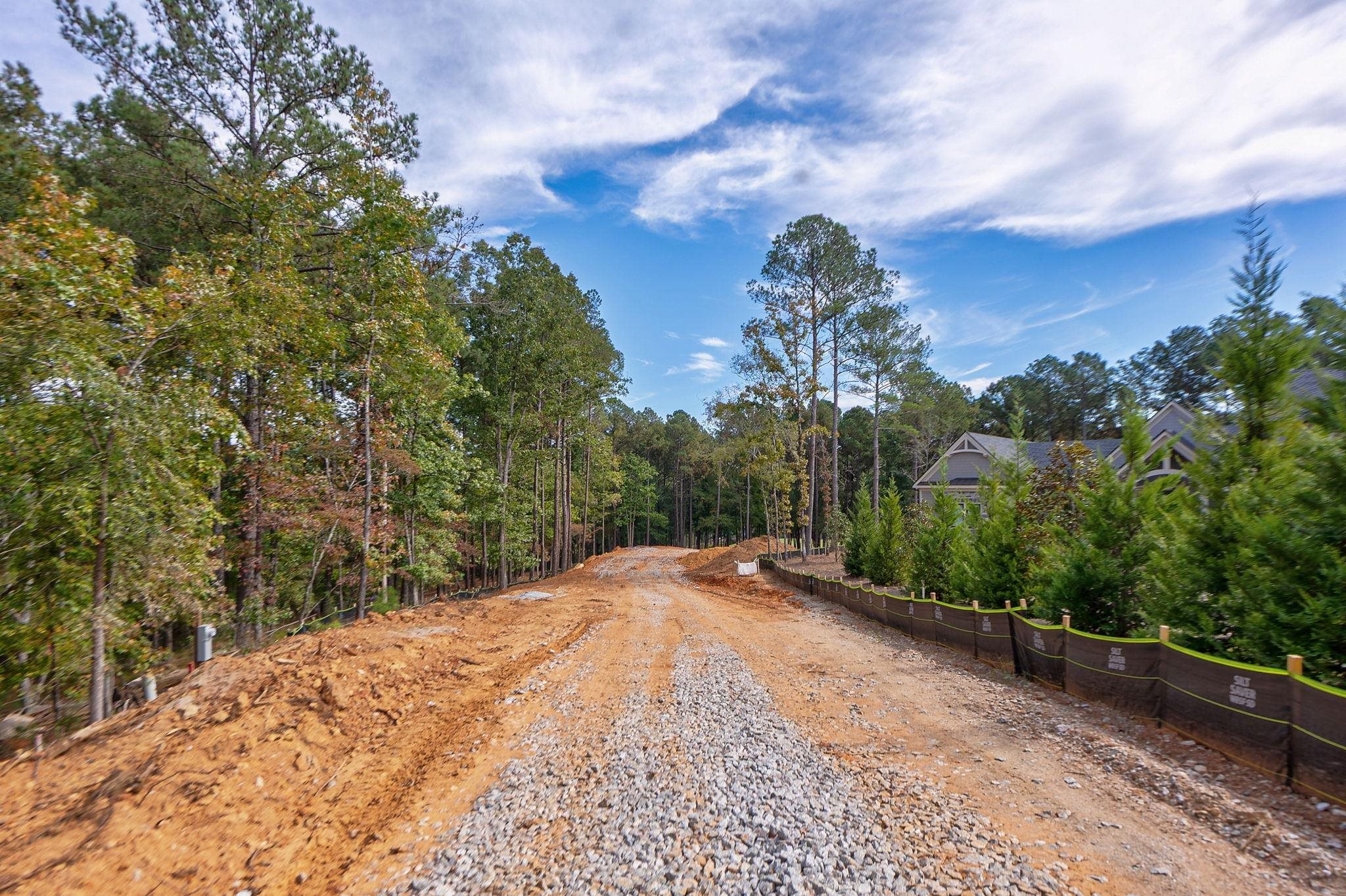 1220 BACHELORS RUN image 11