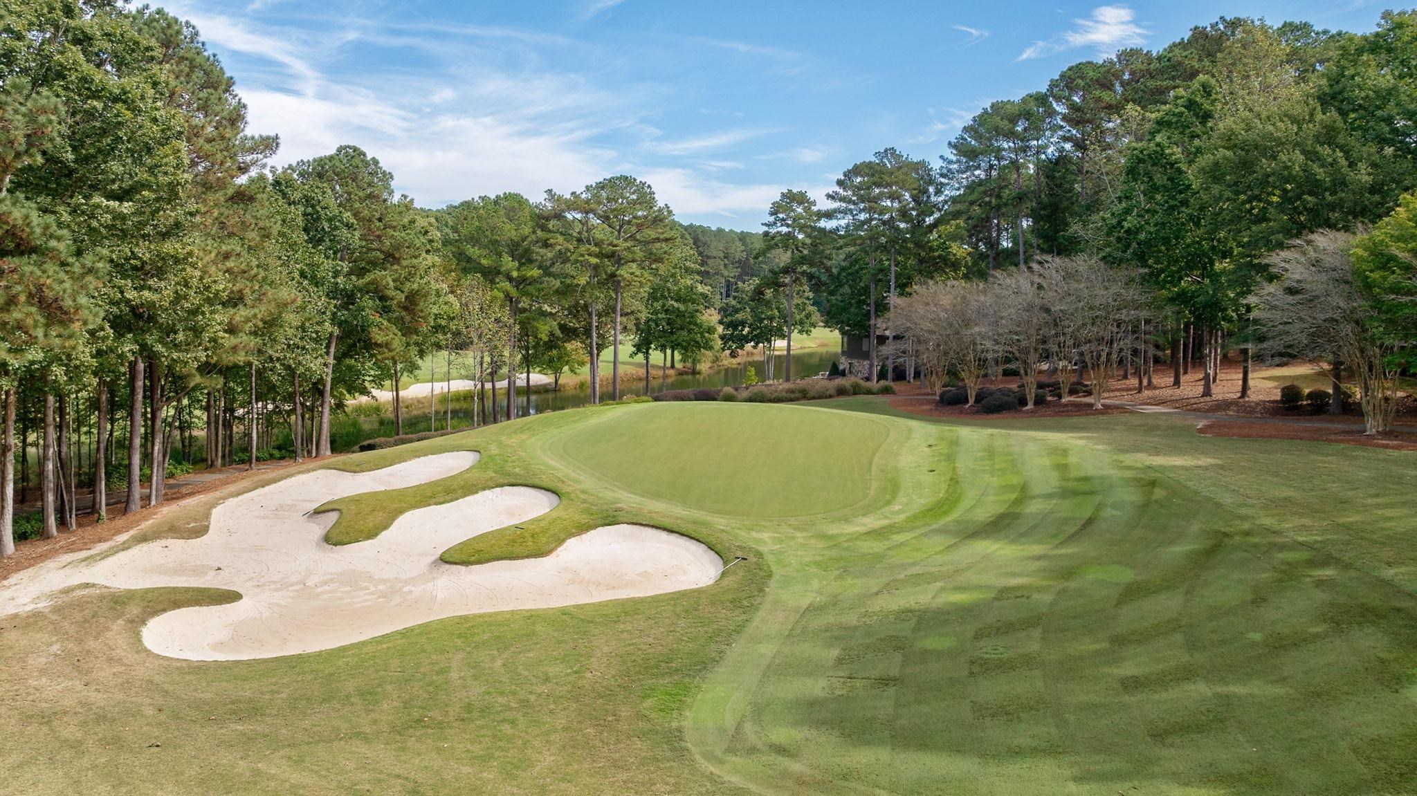 1220 BACHELORS RUN image 14