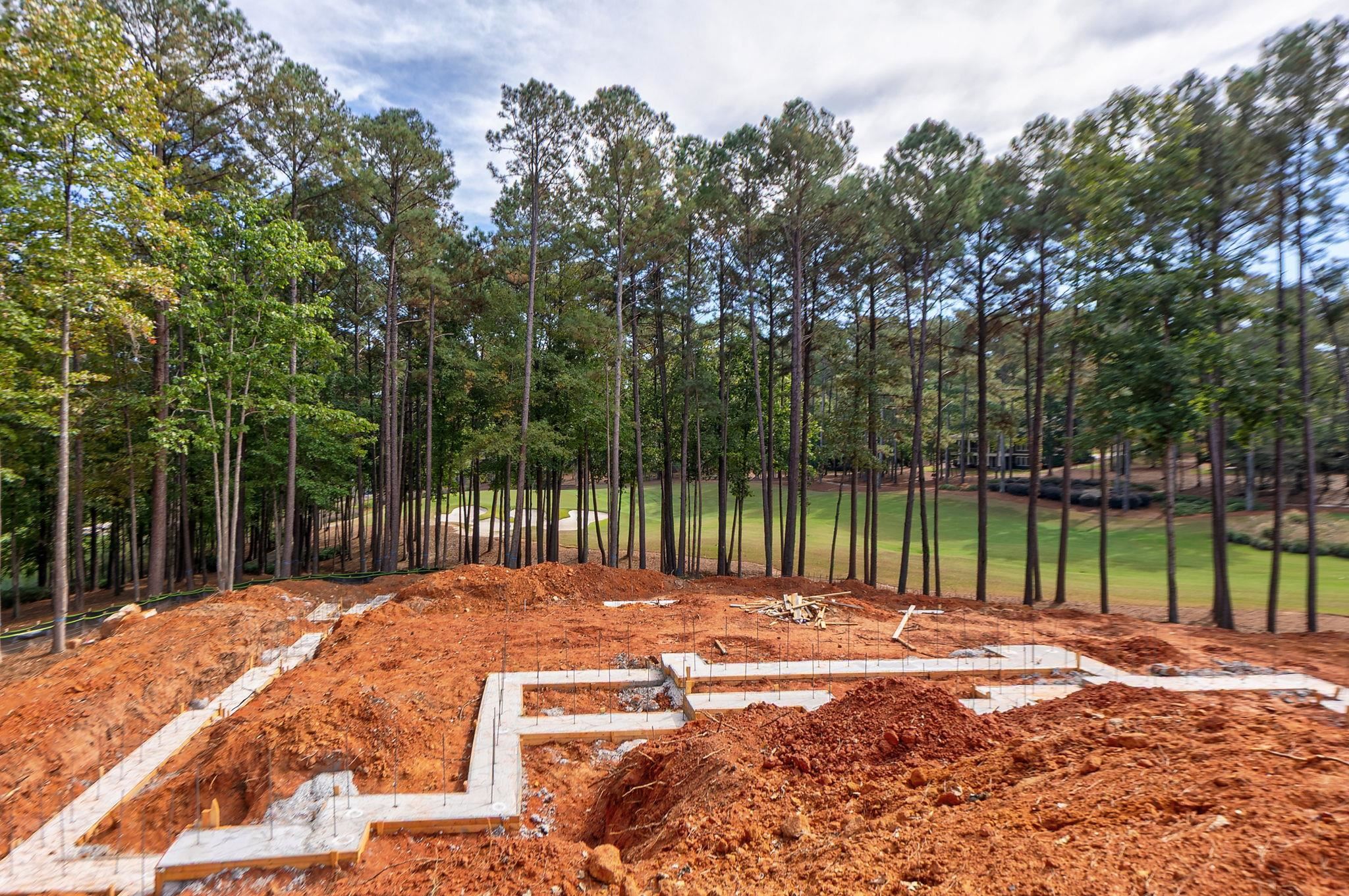 1220 BACHELORS RUN image 9