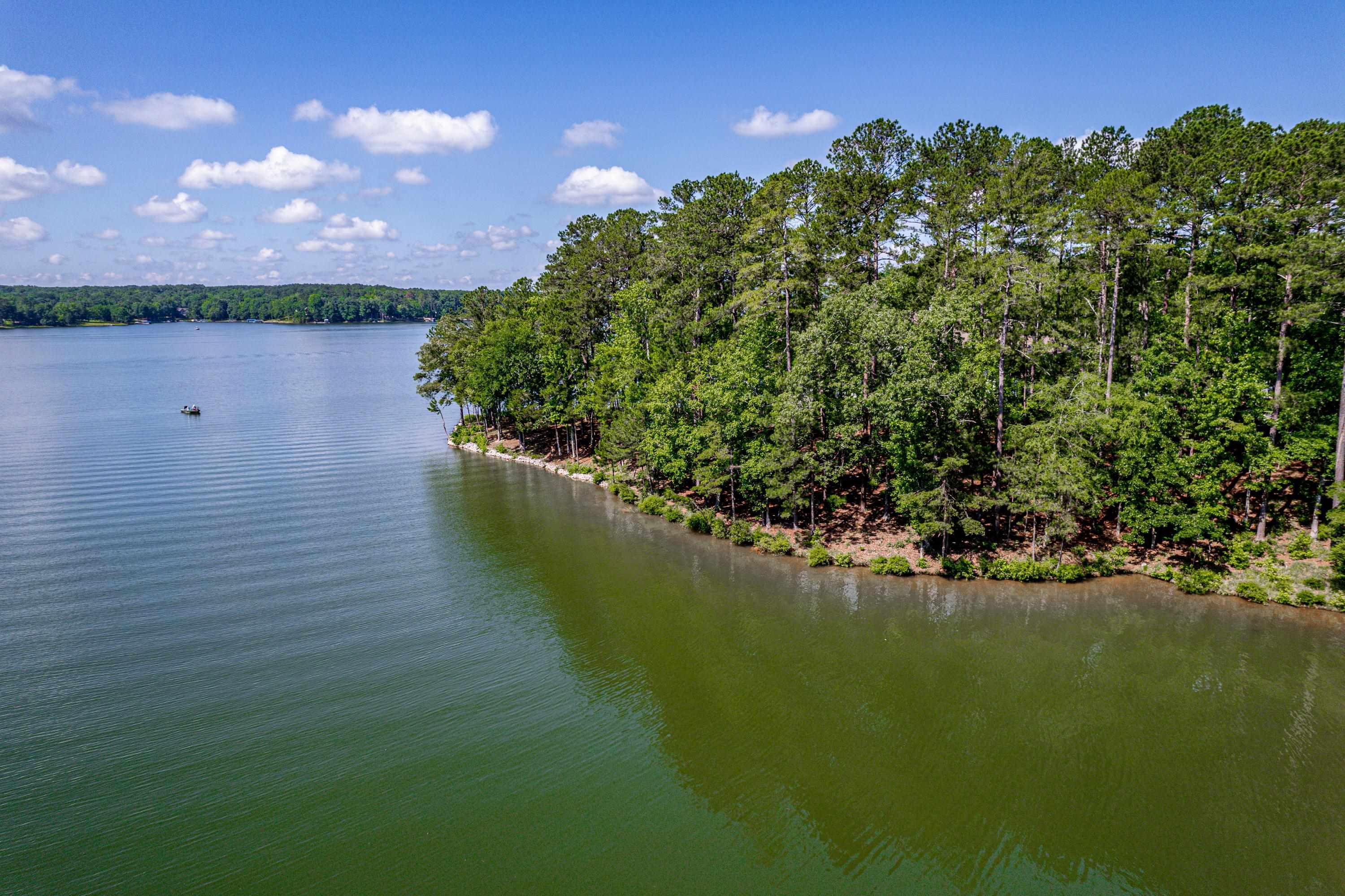 1103 Painted Bunting Drive image 2