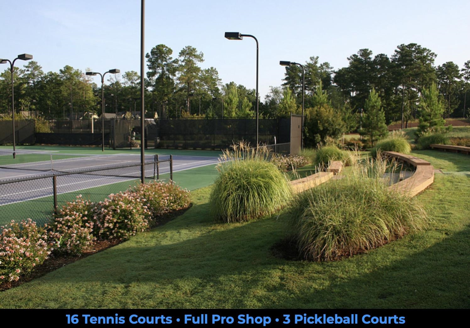 1103 Painted Bunting Drive image 13