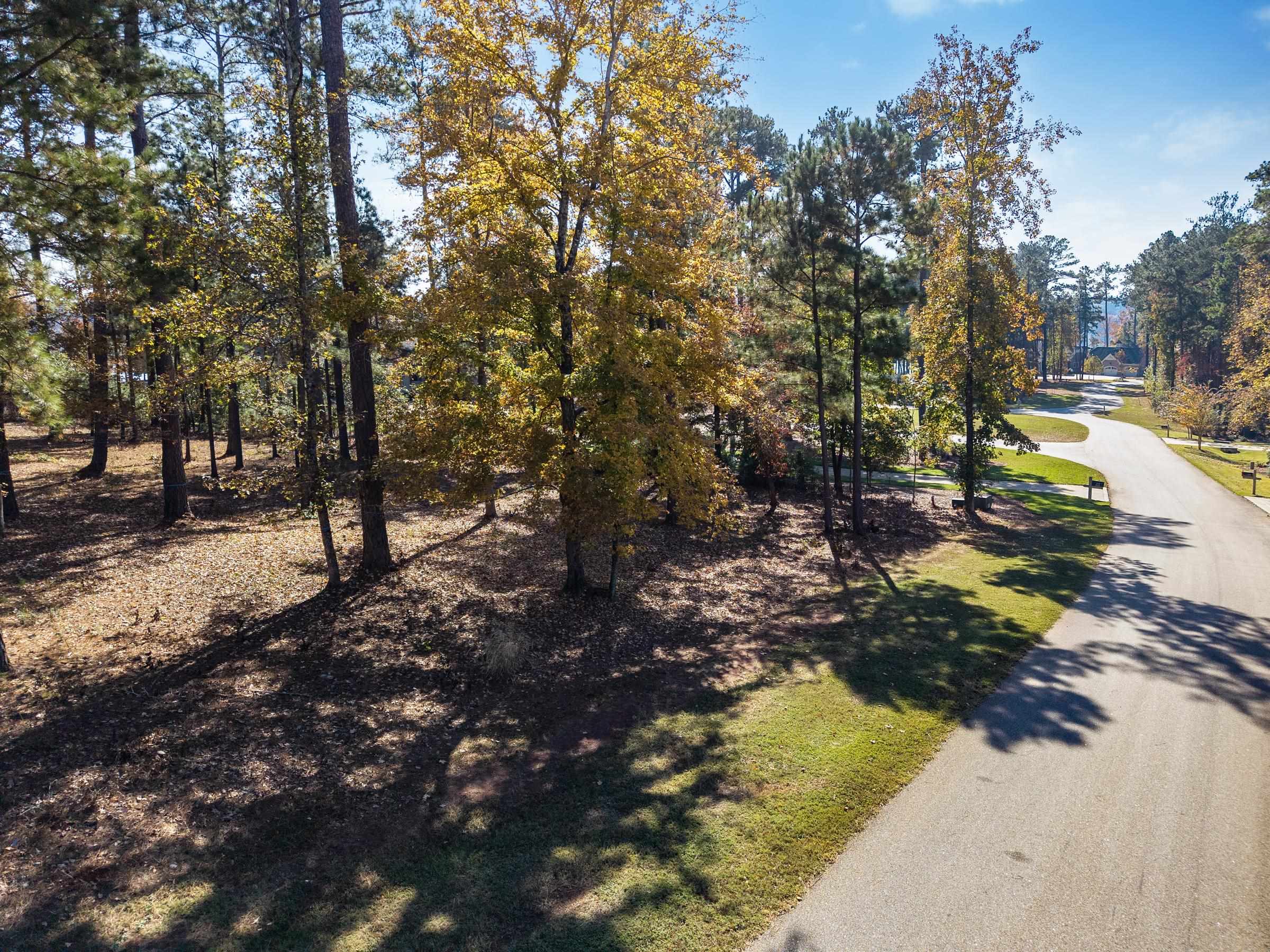 2910 Linger Longer Drive image 11