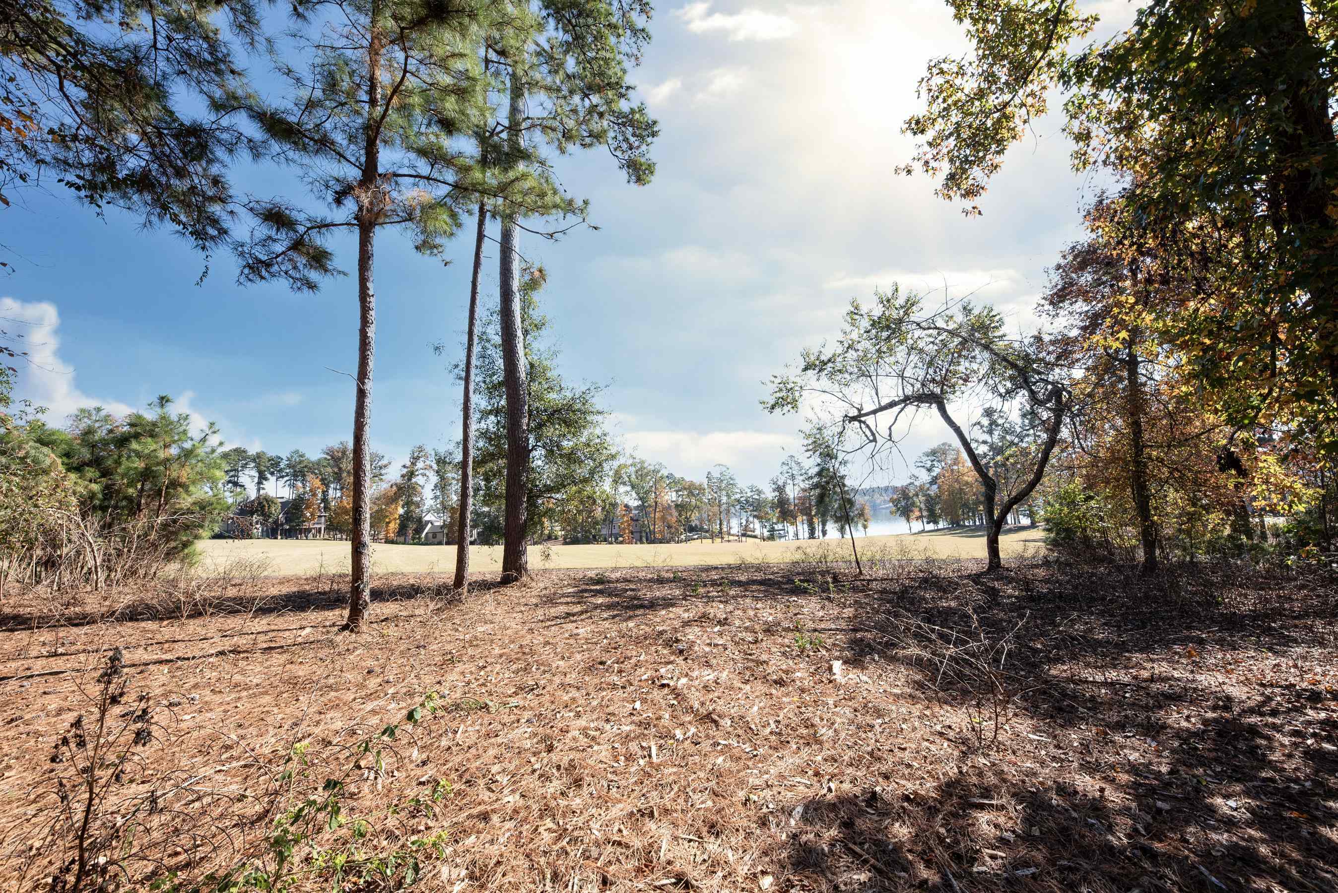 2910 Linger Longer Drive image 9