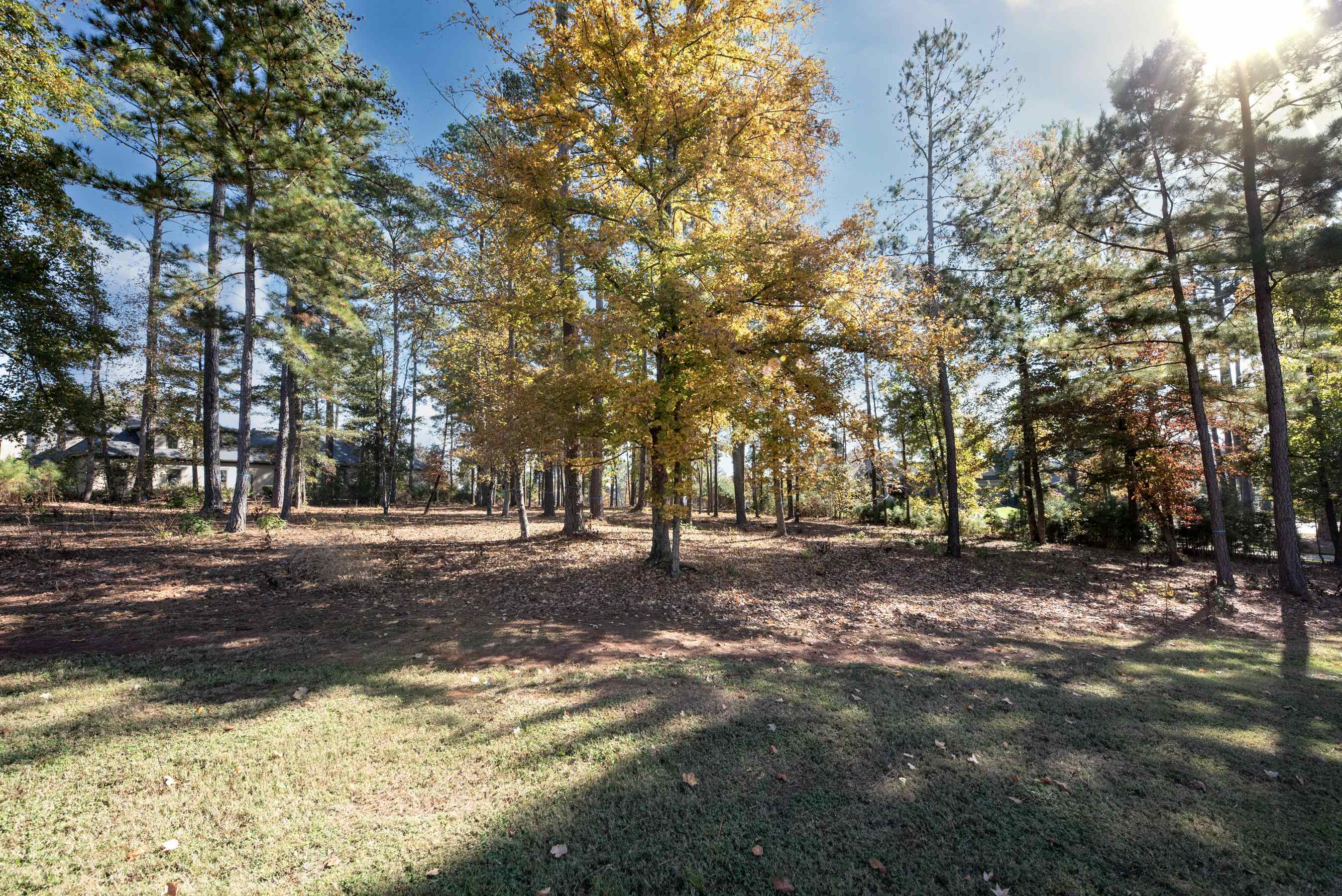 2910 Linger Longer Drive image 10