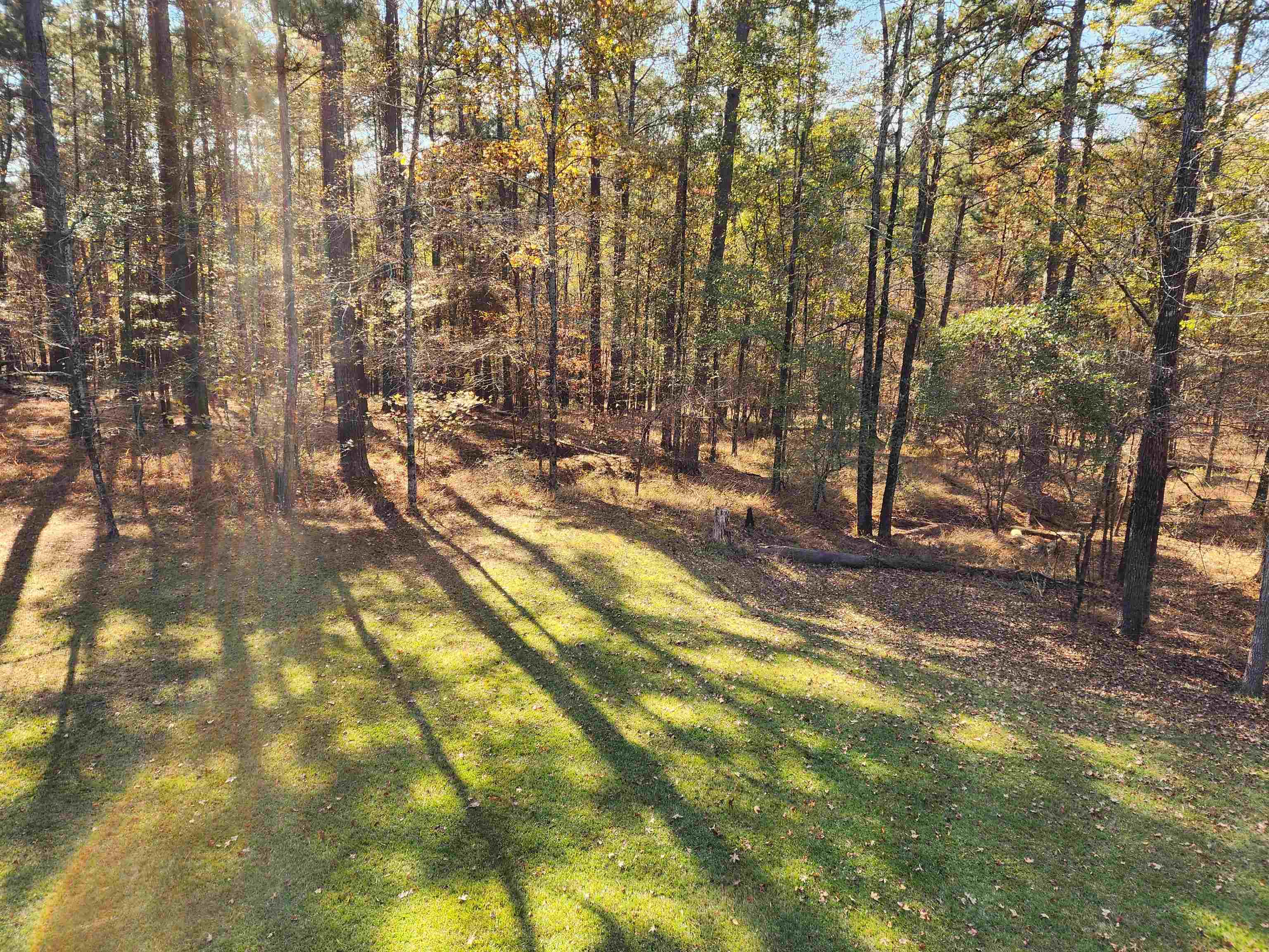 1091 BOULDERCREST WAY image 30
