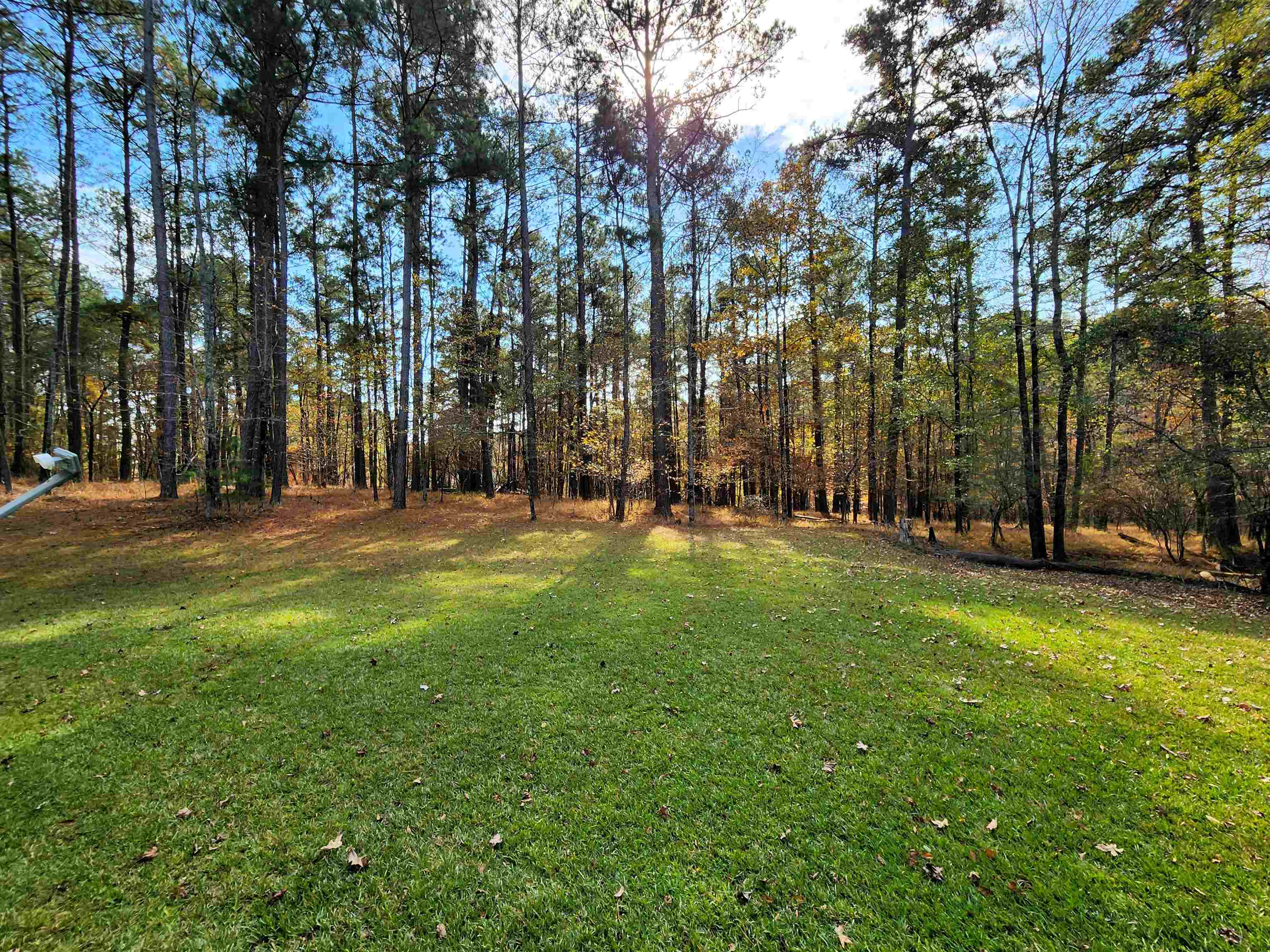 1091 BOULDERCREST WAY image 53