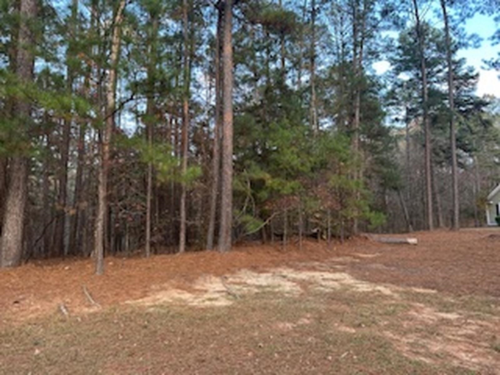 1281 Cedar Ridge Drive image 3