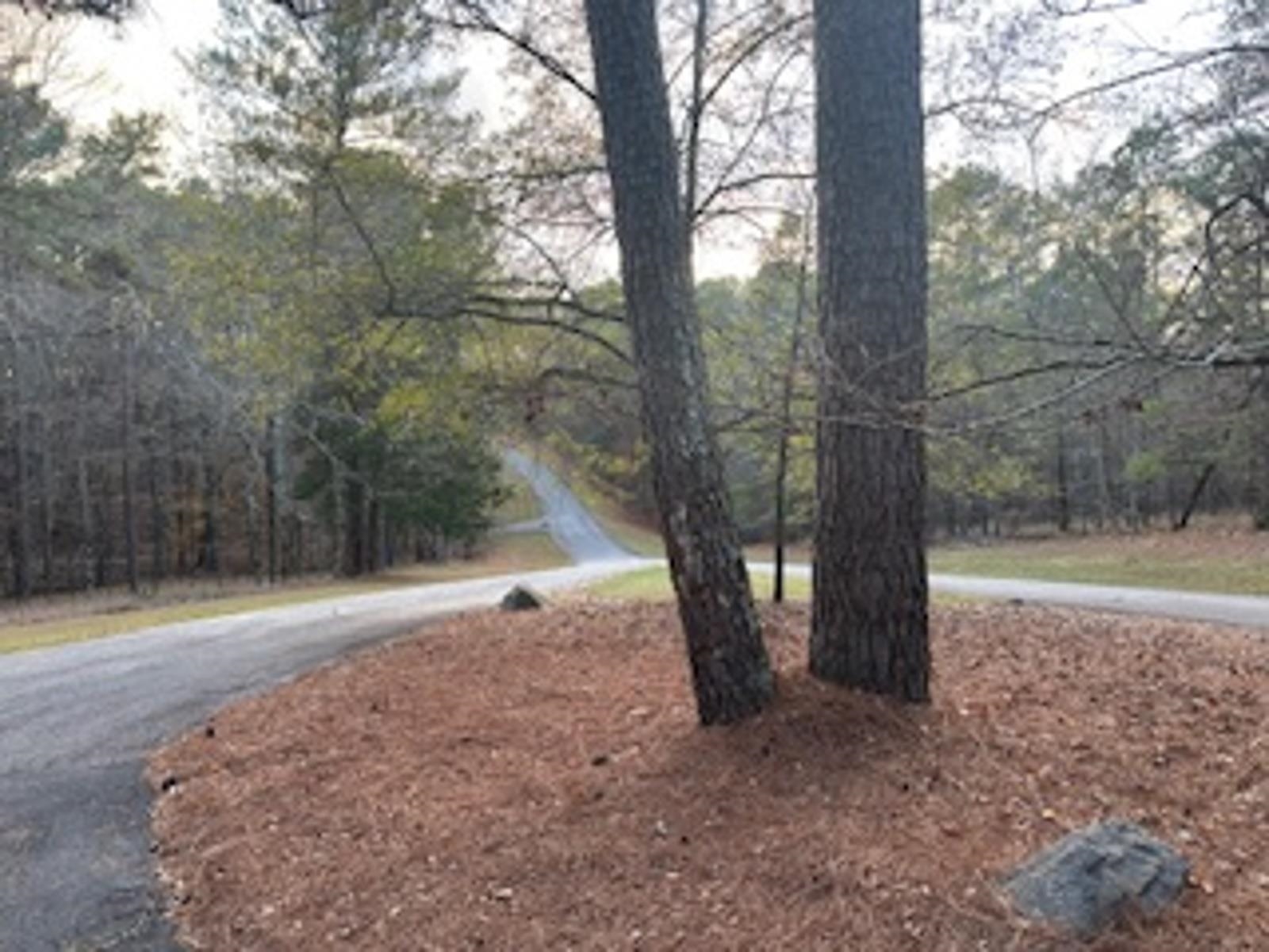 1281 Cedar Ridge Drive image 4