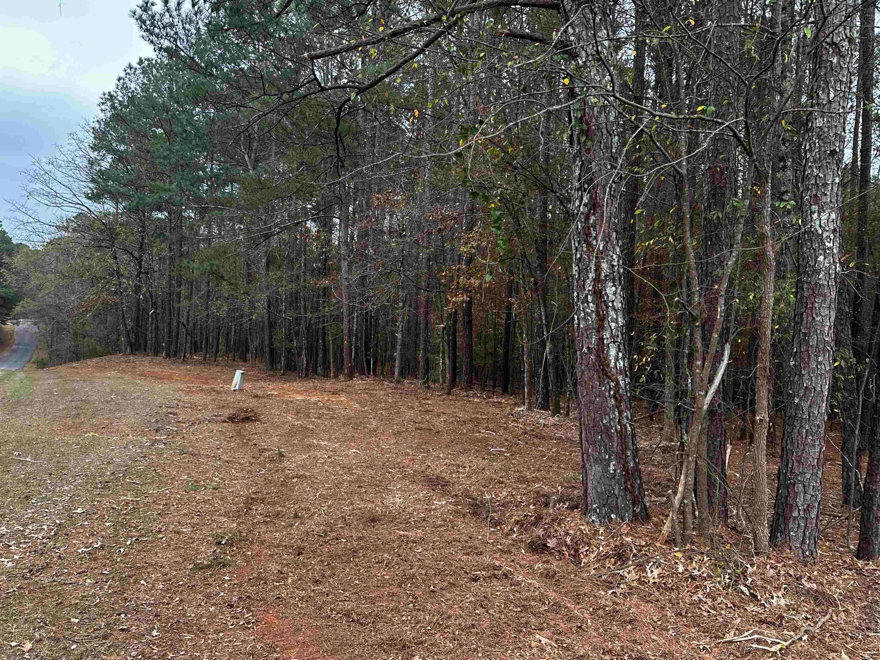 1220 Anchor Bay Circle image 23