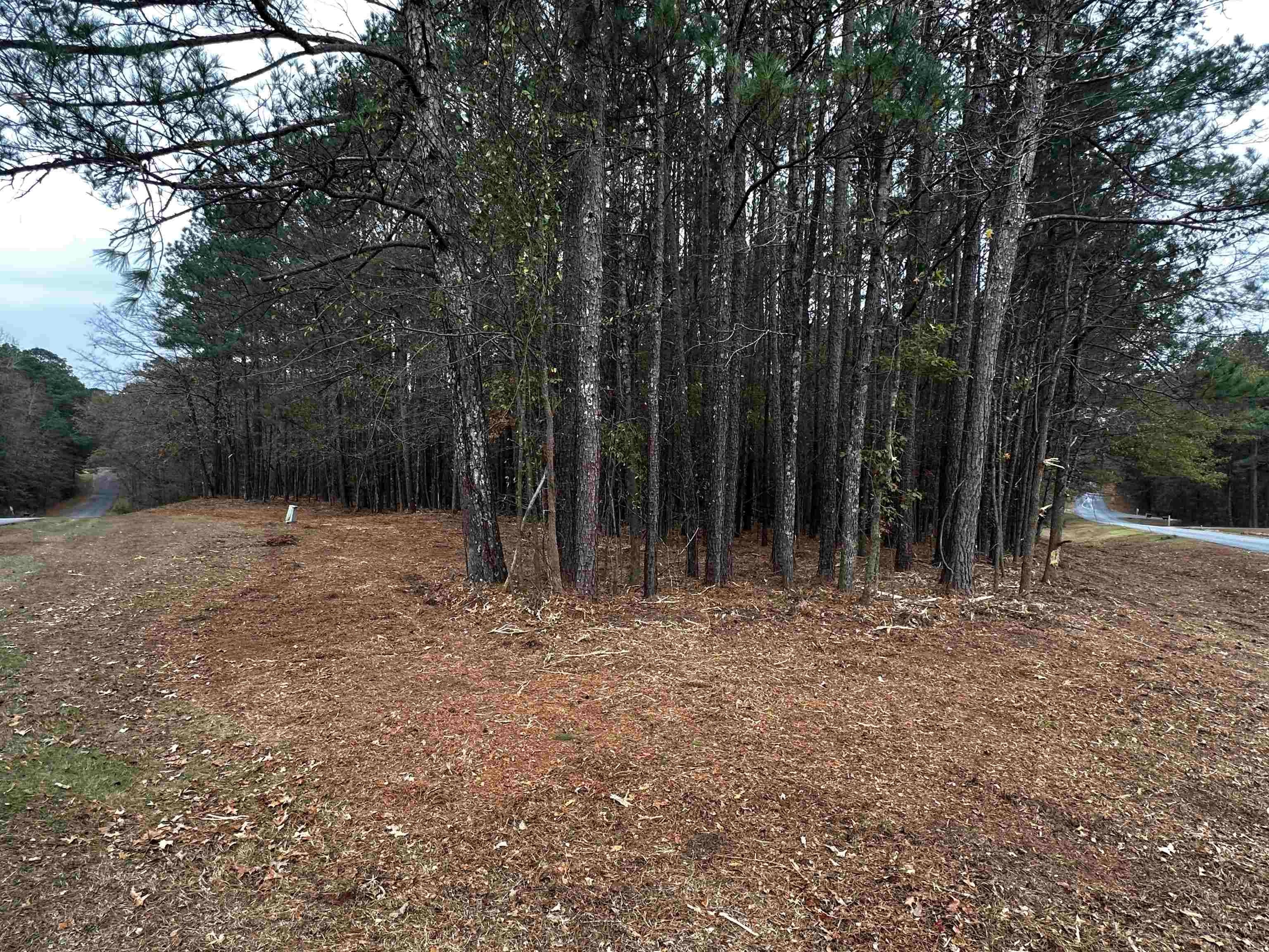 1220 Anchor Bay Circle image 25