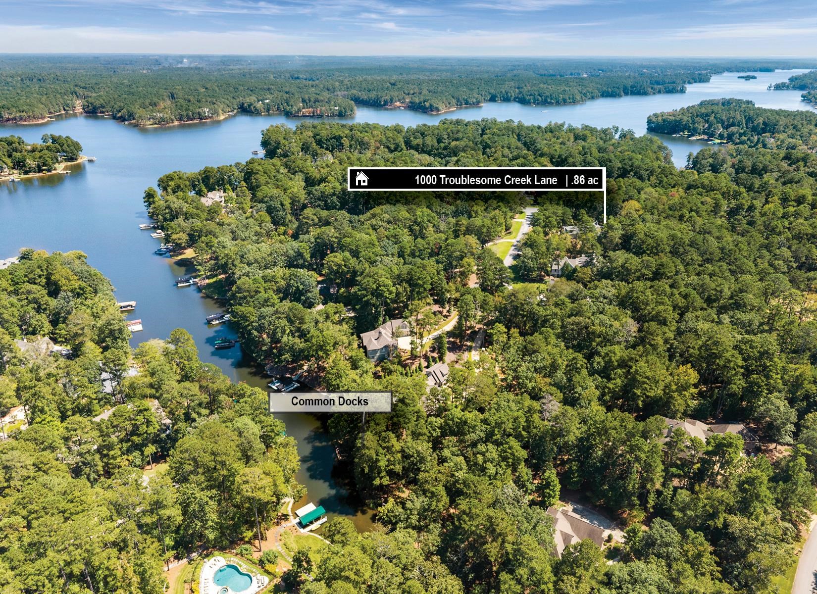 1000 TROUBLESOME CREEK LANE image 2