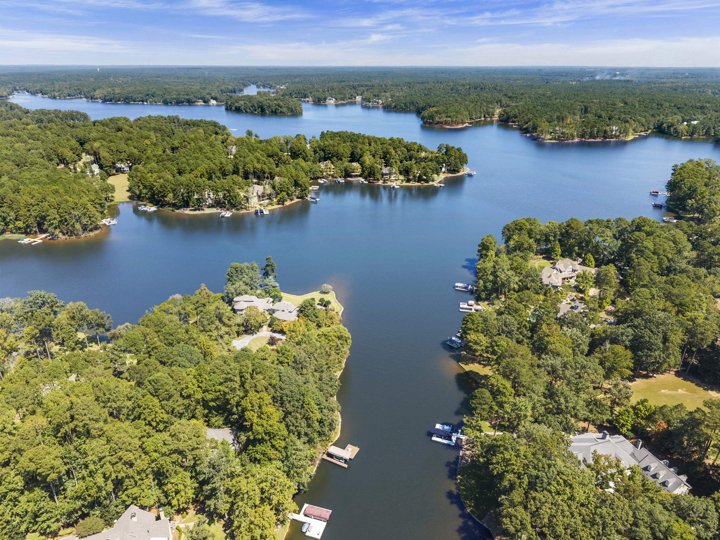 1000 TROUBLESOME CREEK LANE image 3