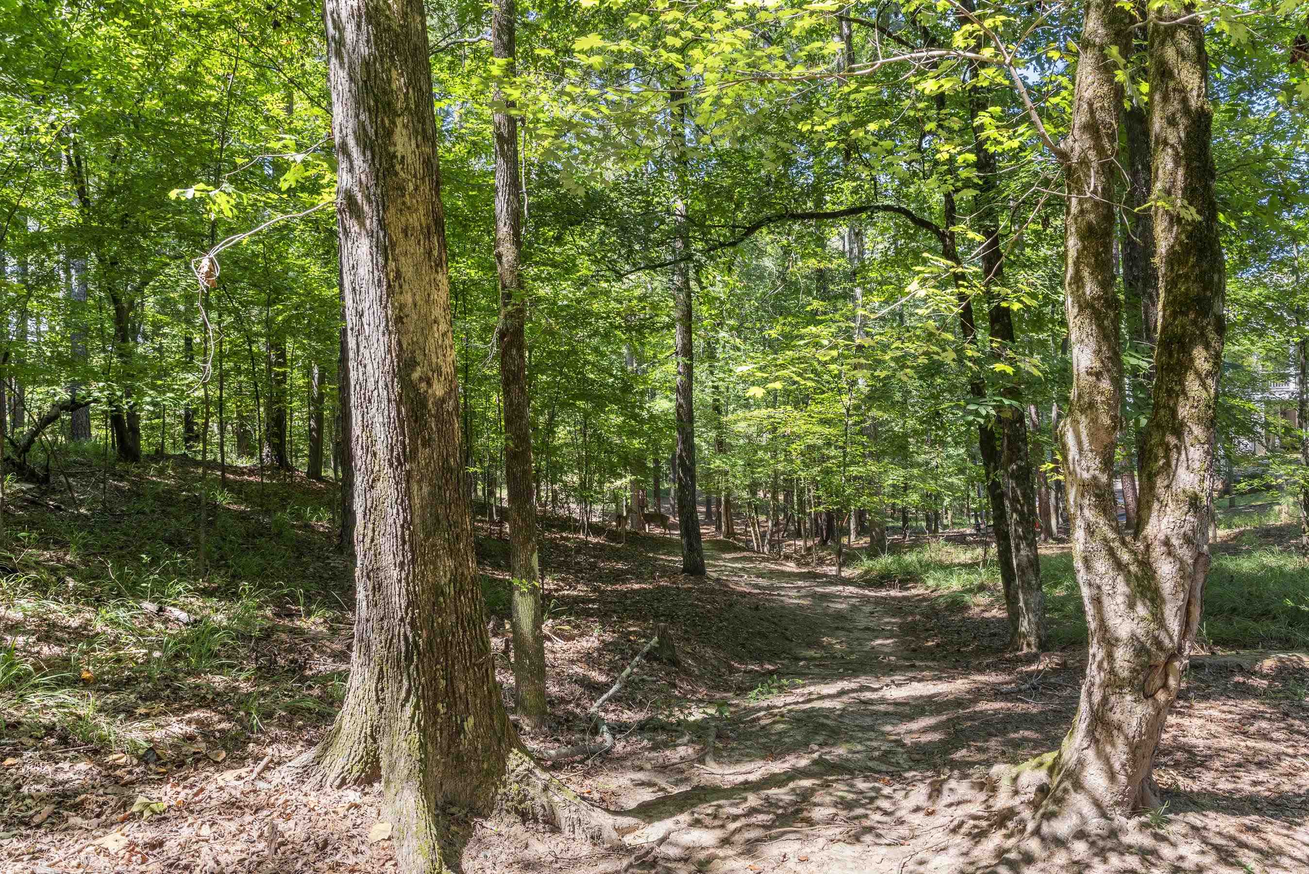 1000 TROUBLESOME CREEK LANE image 46