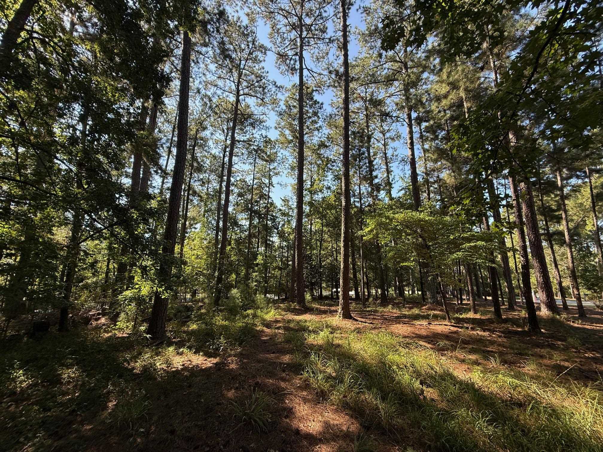 1320 Fairway Ridge Drive image 2