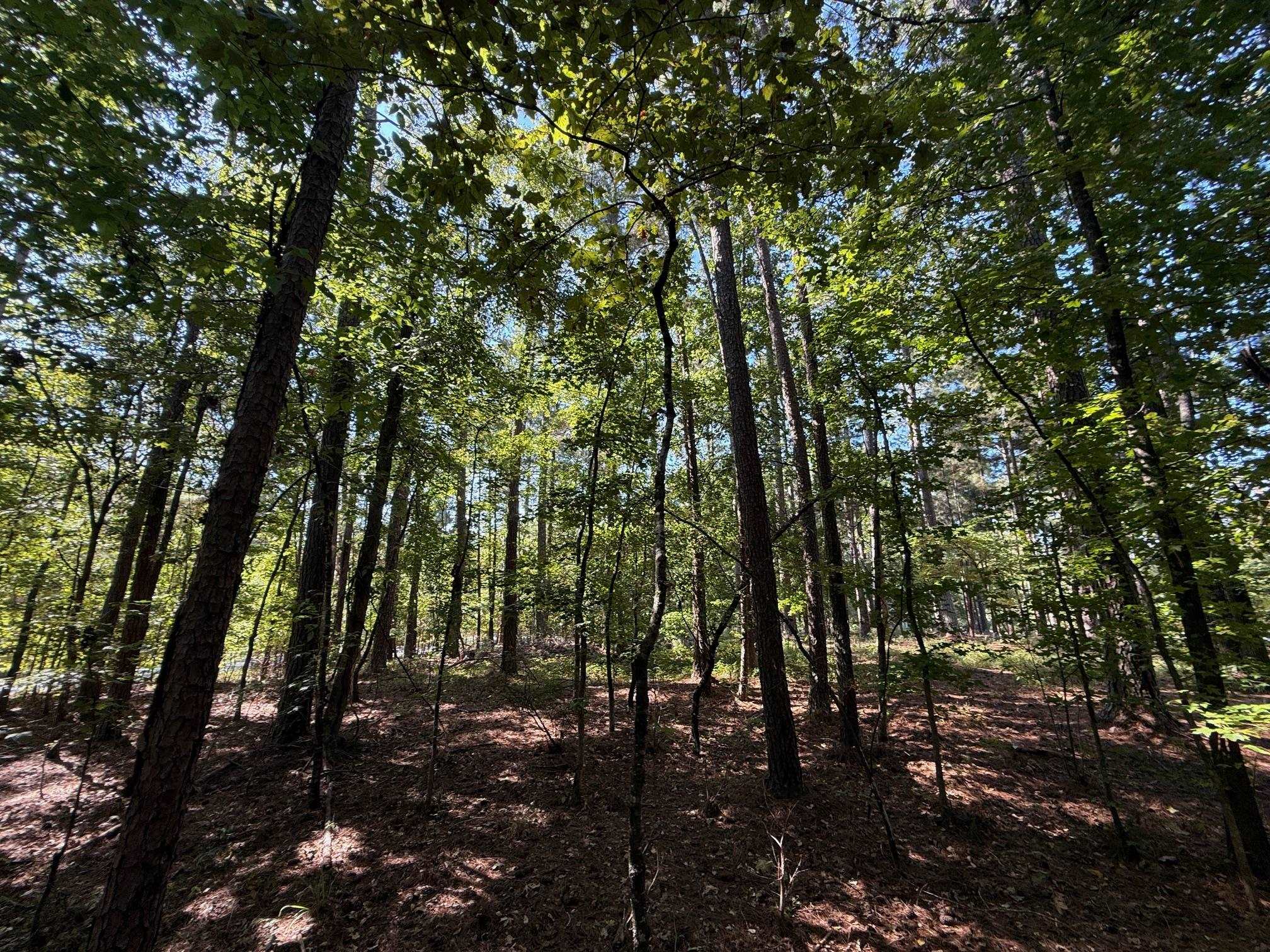 1320 Fairway Ridge Drive image 10