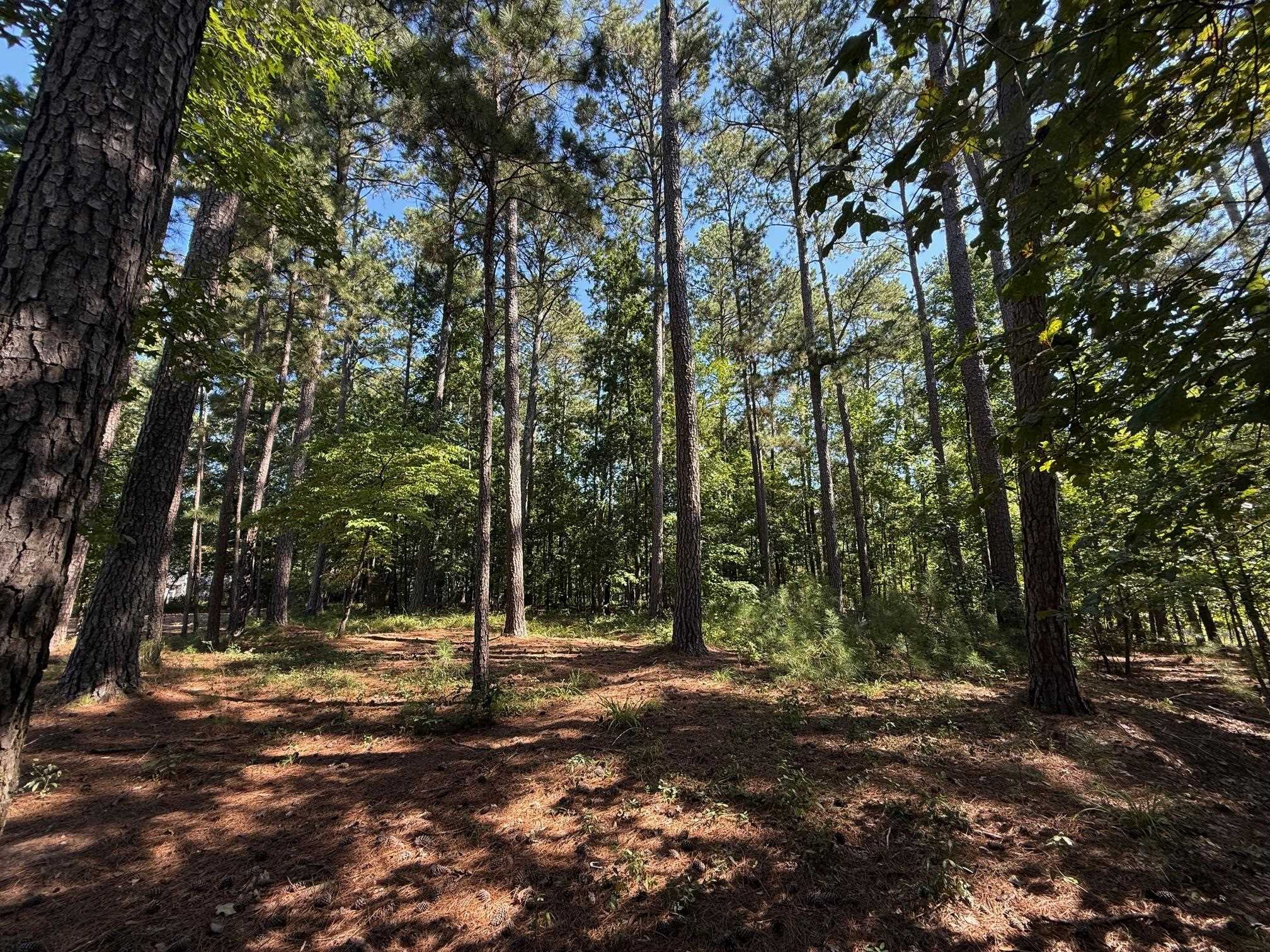 1320 Fairway Ridge Drive image 3