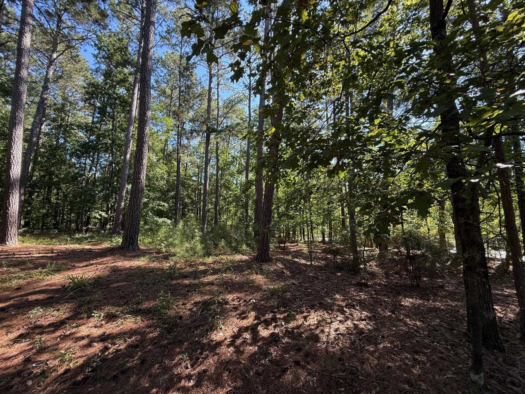 1320 Fairway Ridge Drive image 8