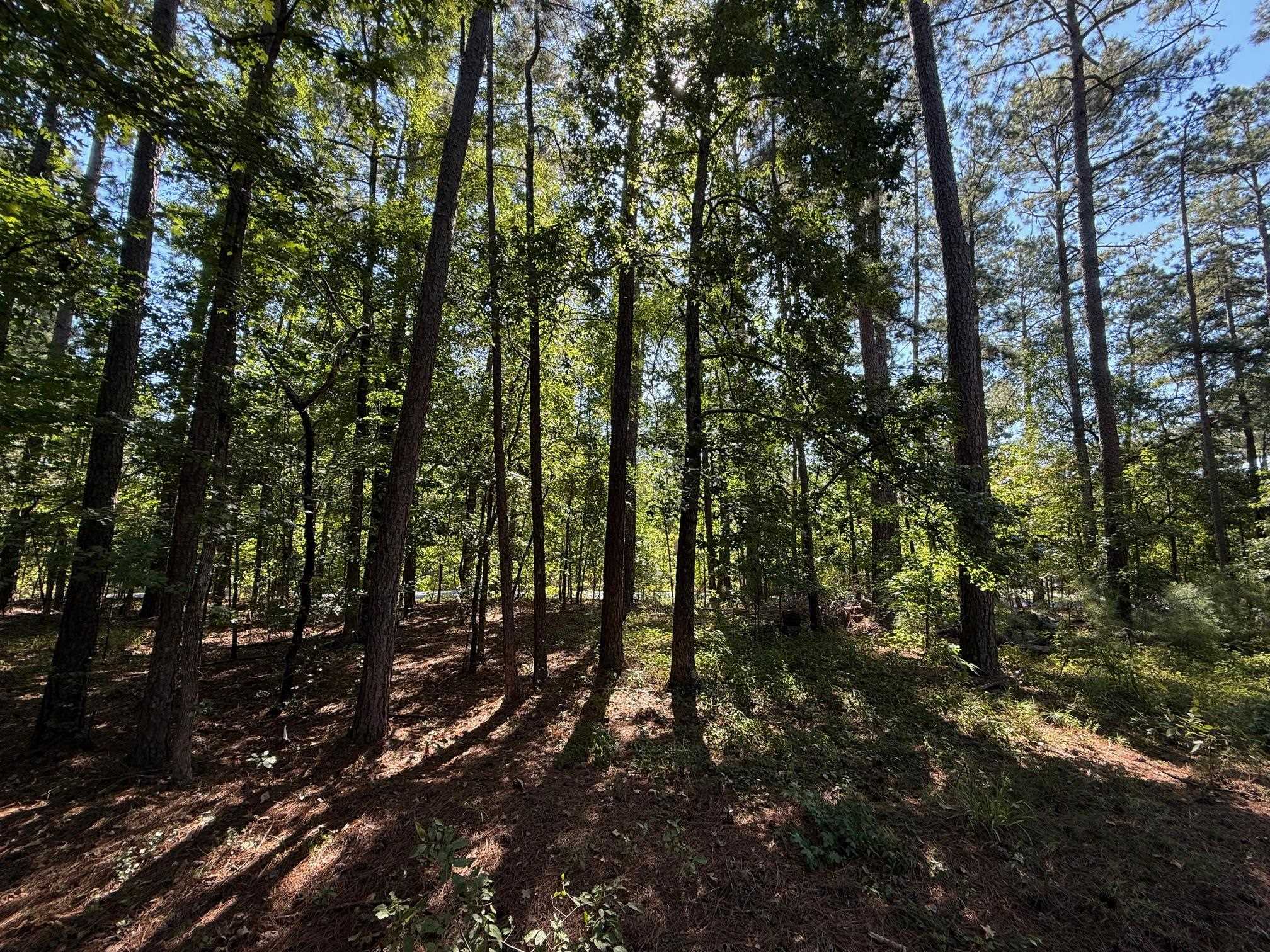 1320 Fairway Ridge Drive image 9