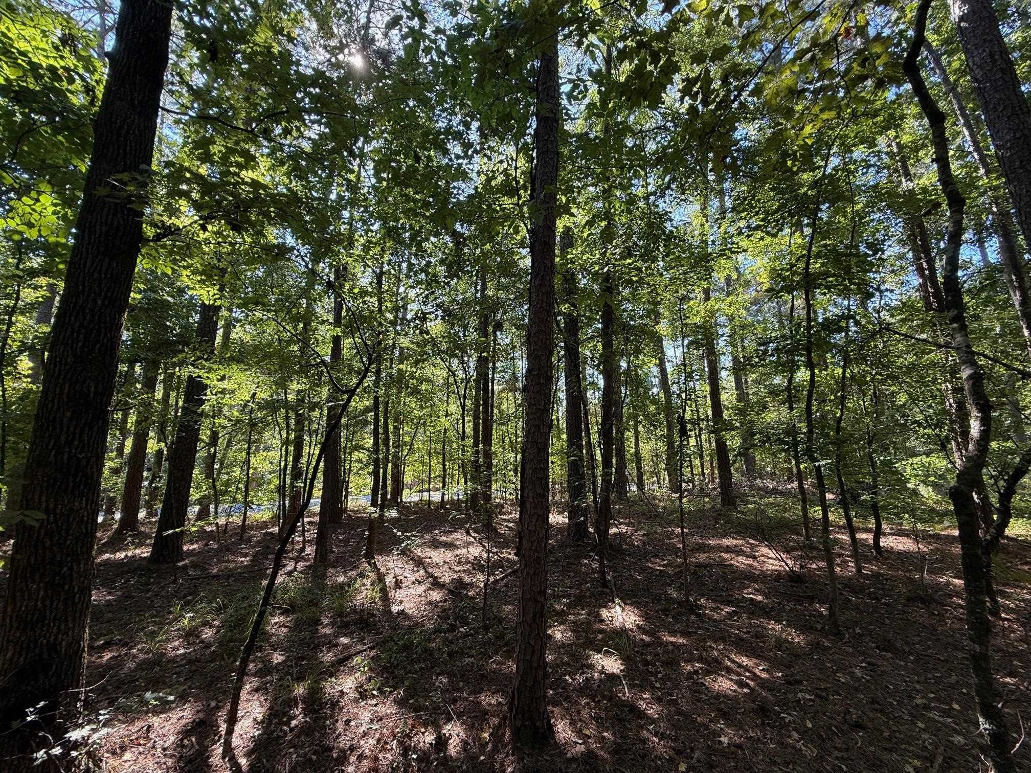 1320 Fairway Ridge Drive image 11