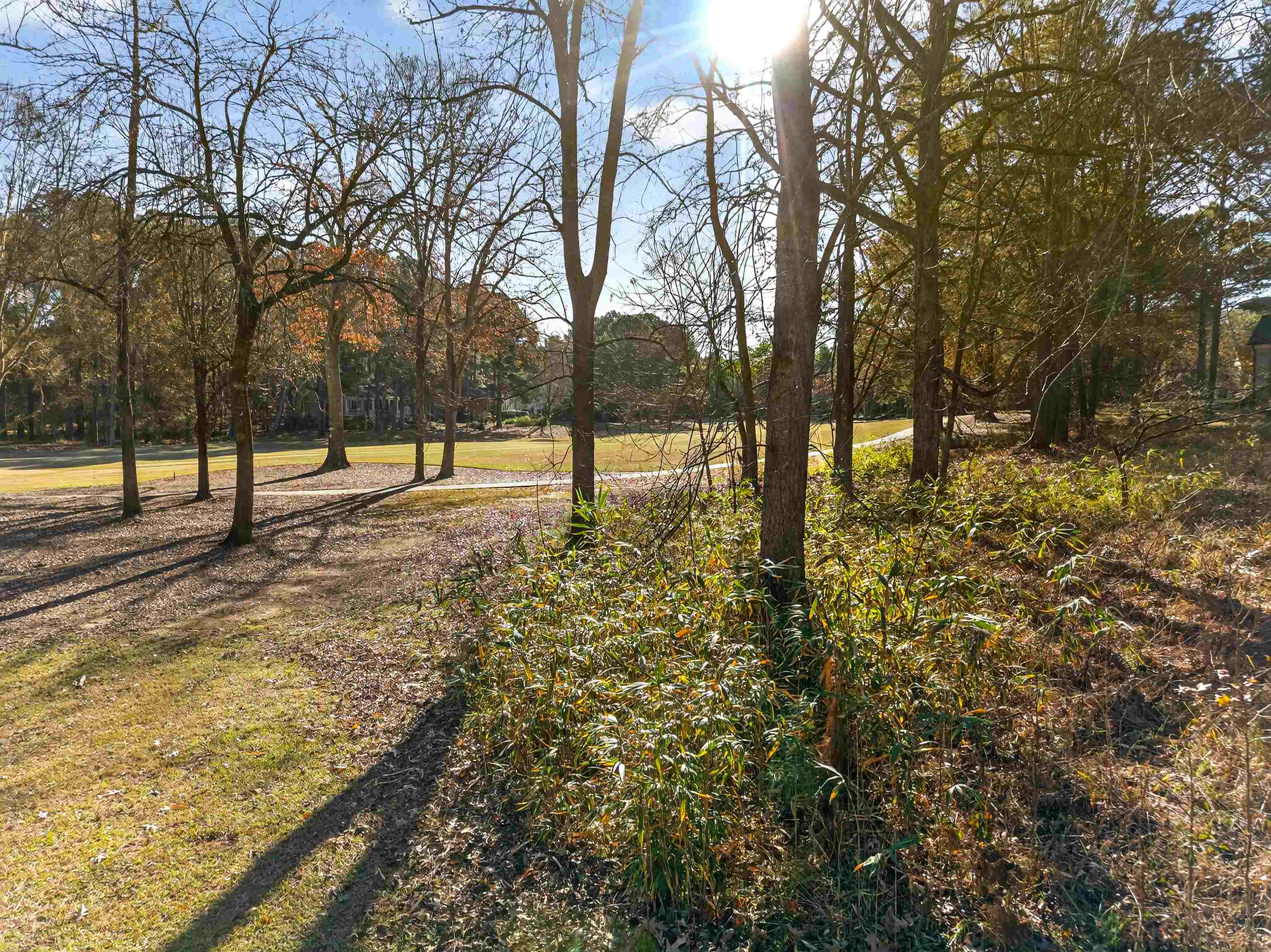 104 Camelrest Lane image 3