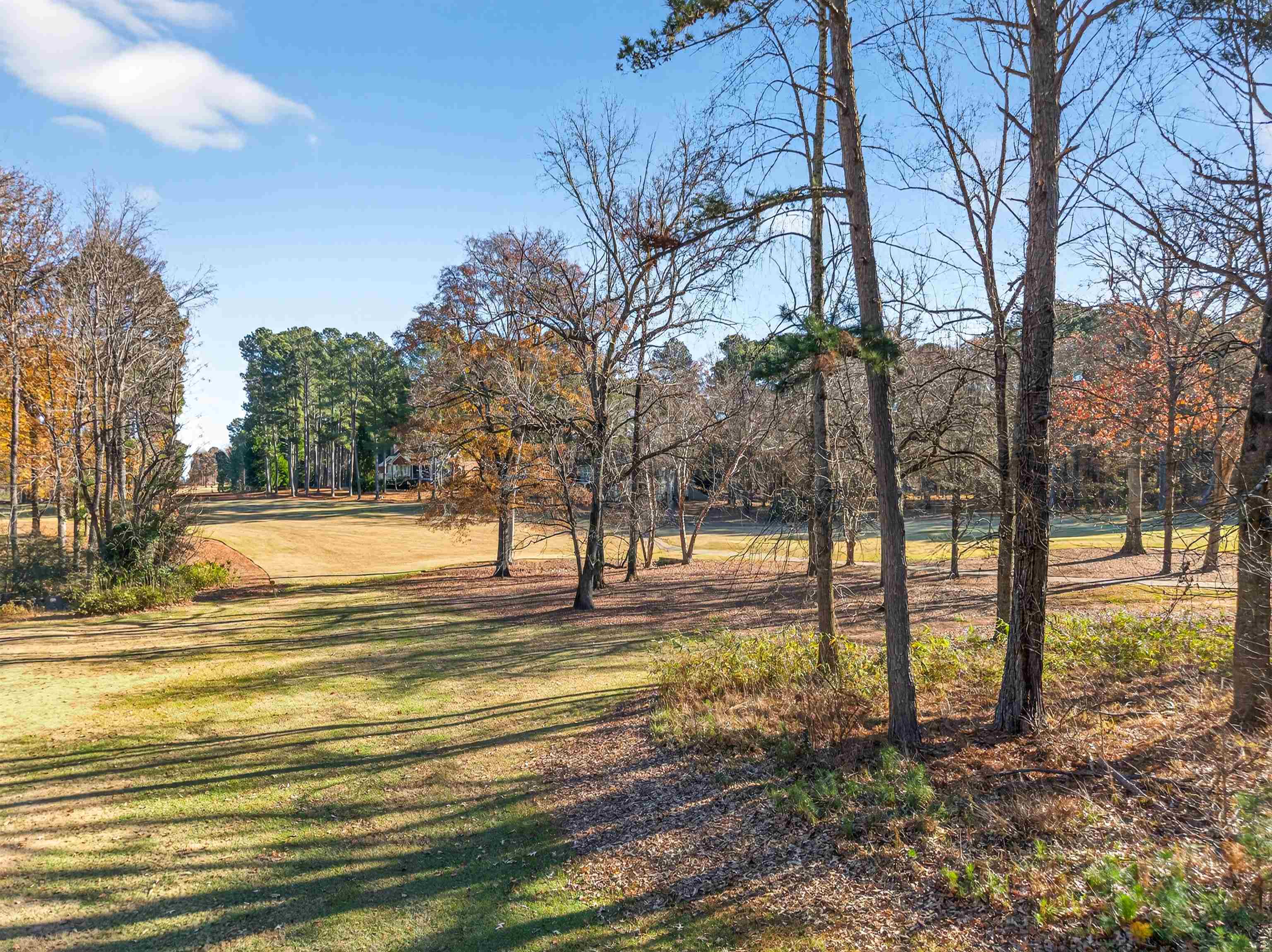 104 Camelrest Lane image 8