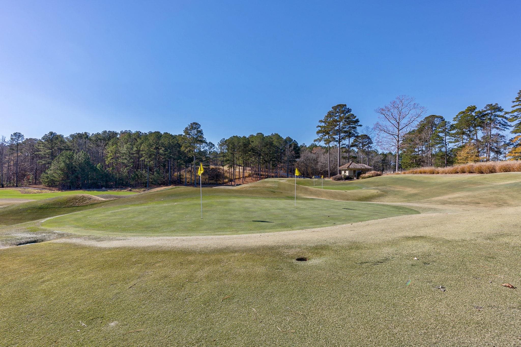 1040 BUNKER BEND image 13