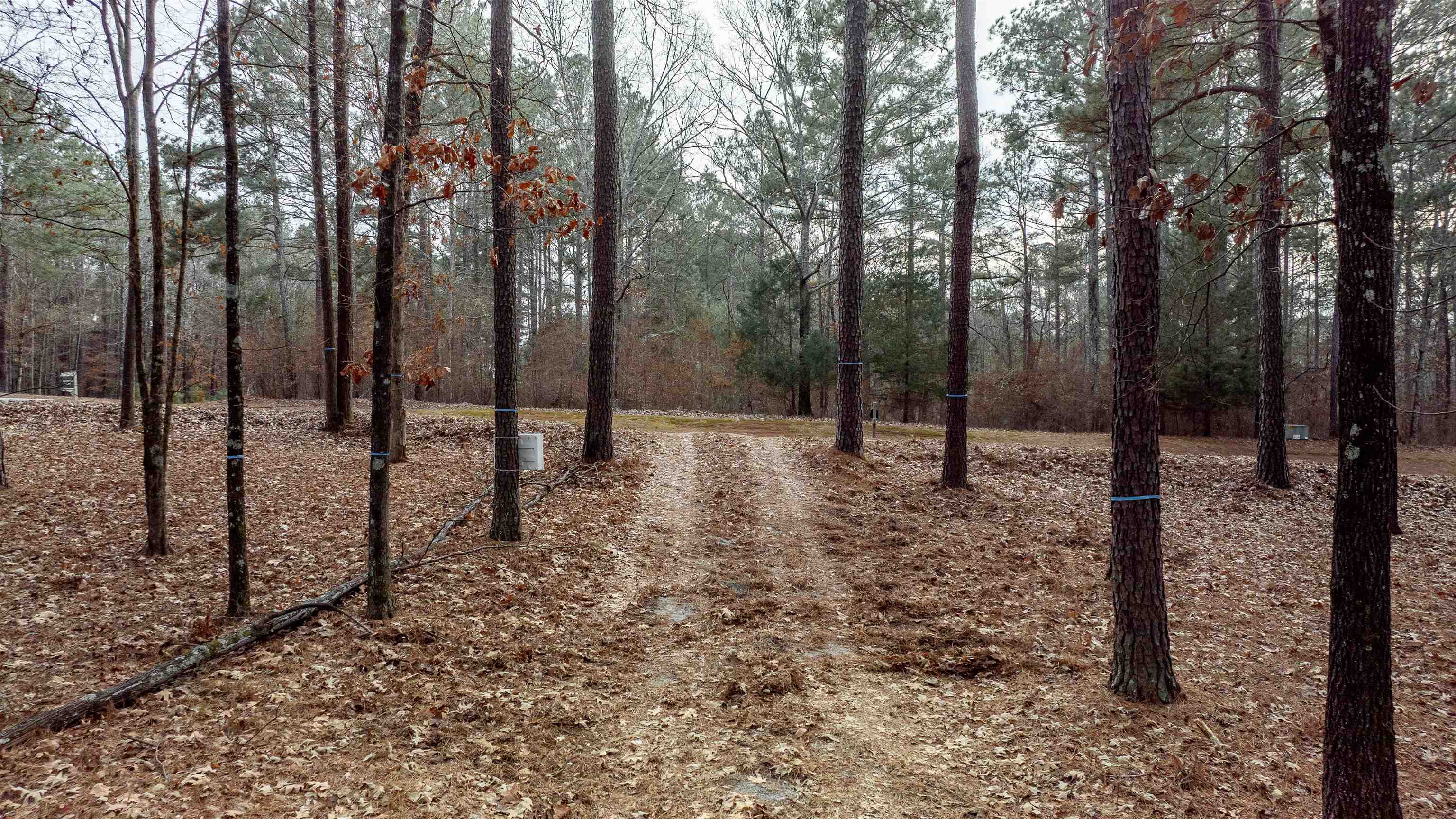 1191 Sunset Overlook image 13