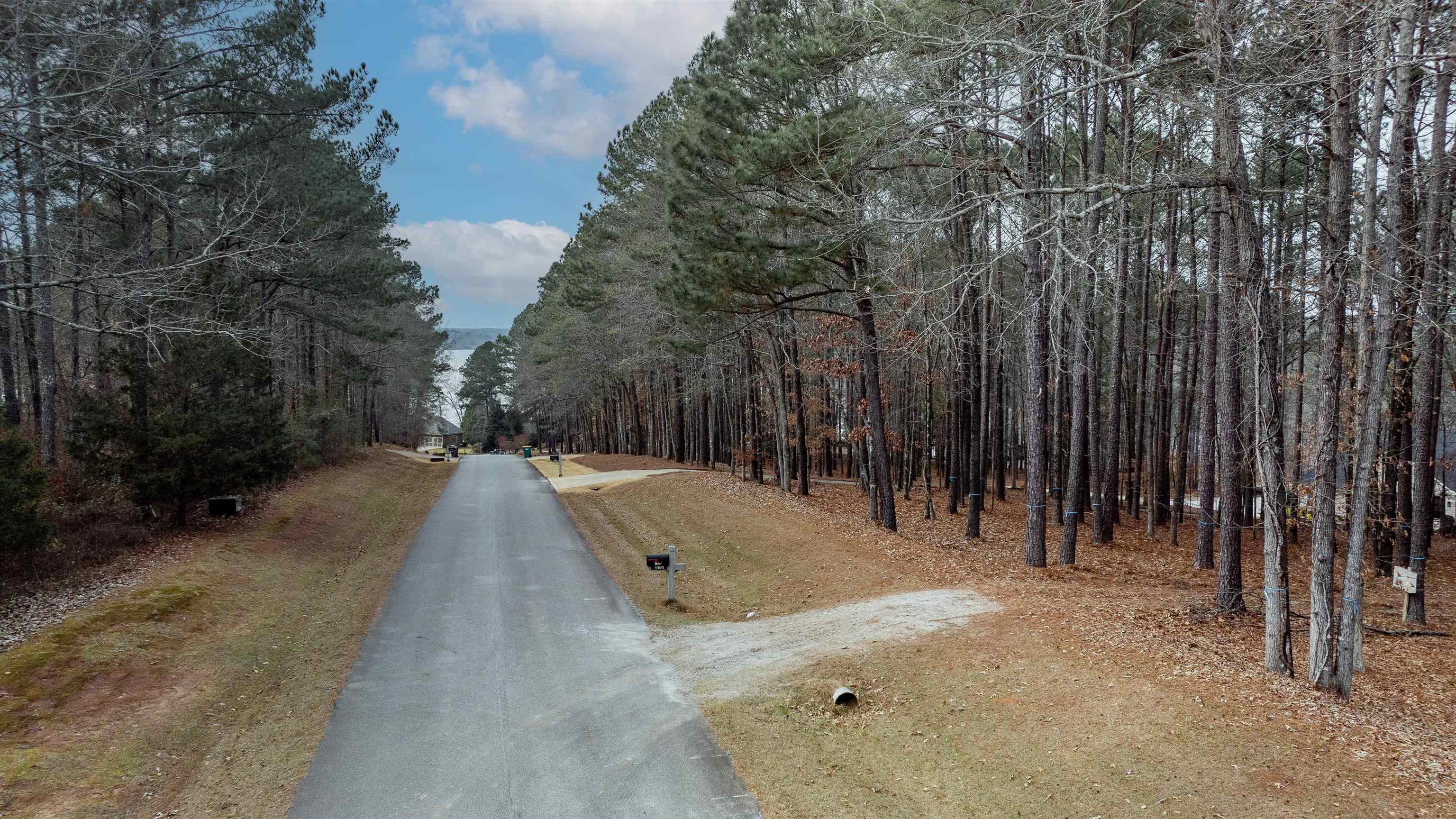 1191 Sunset Overlook image 14