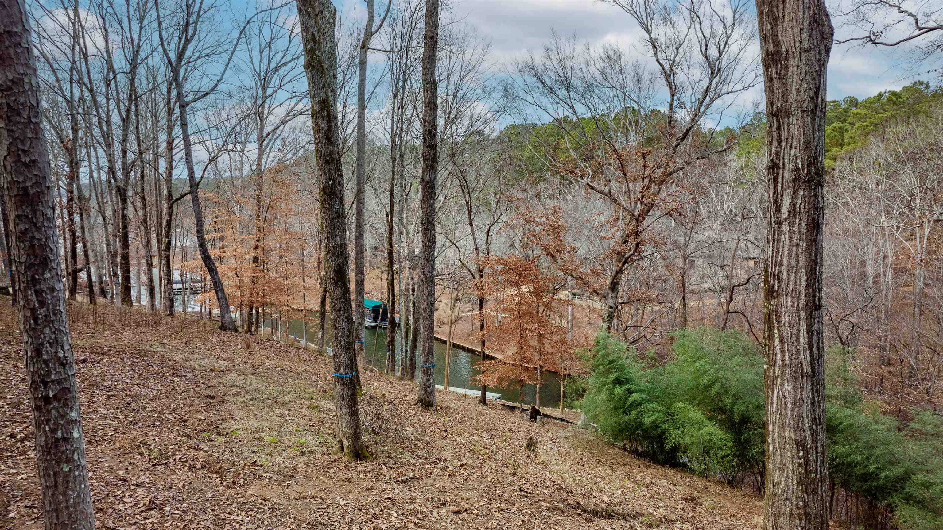 1191 Sunset Overlook image 6