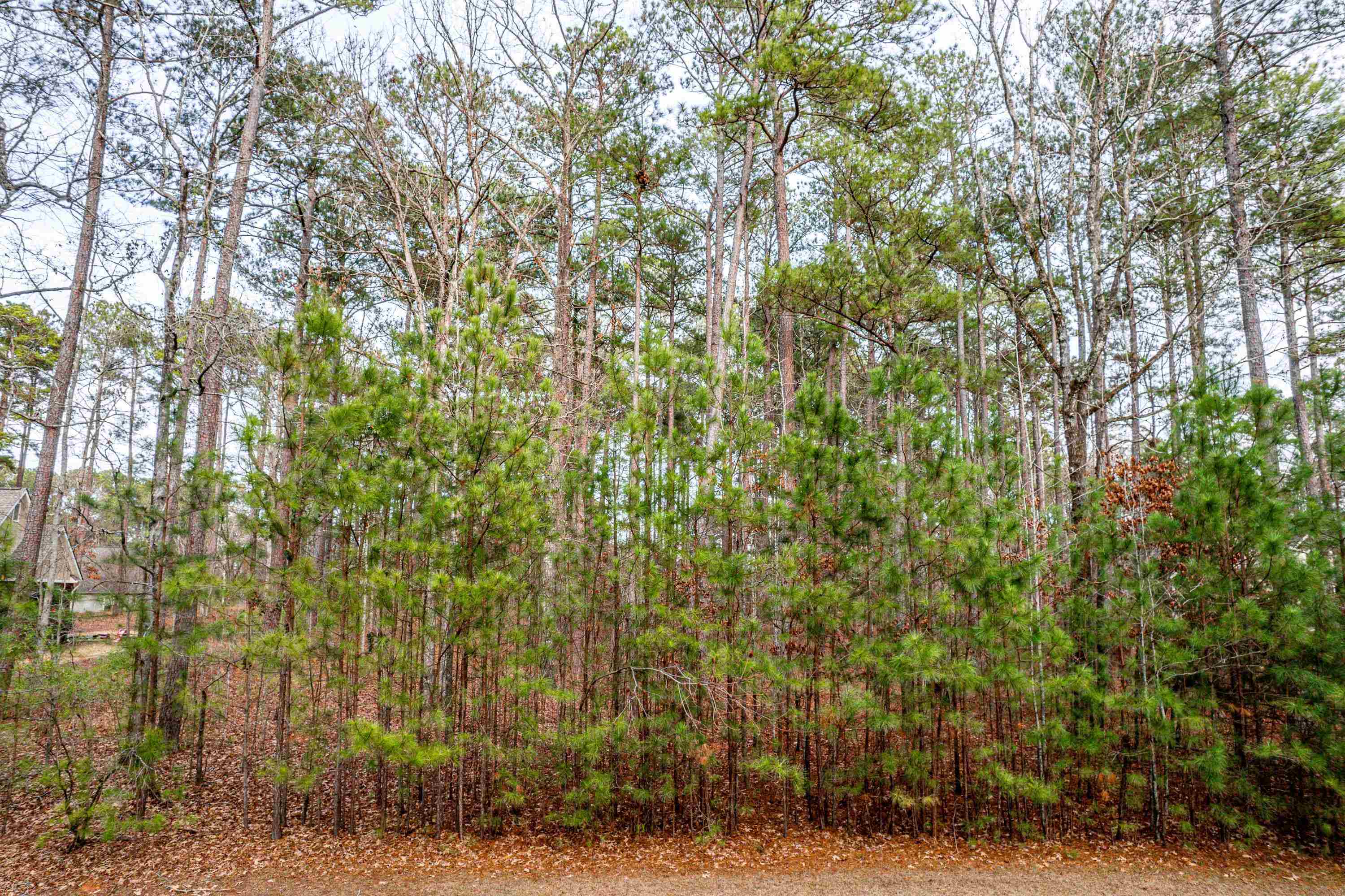 1770 Garners Ferry image 2