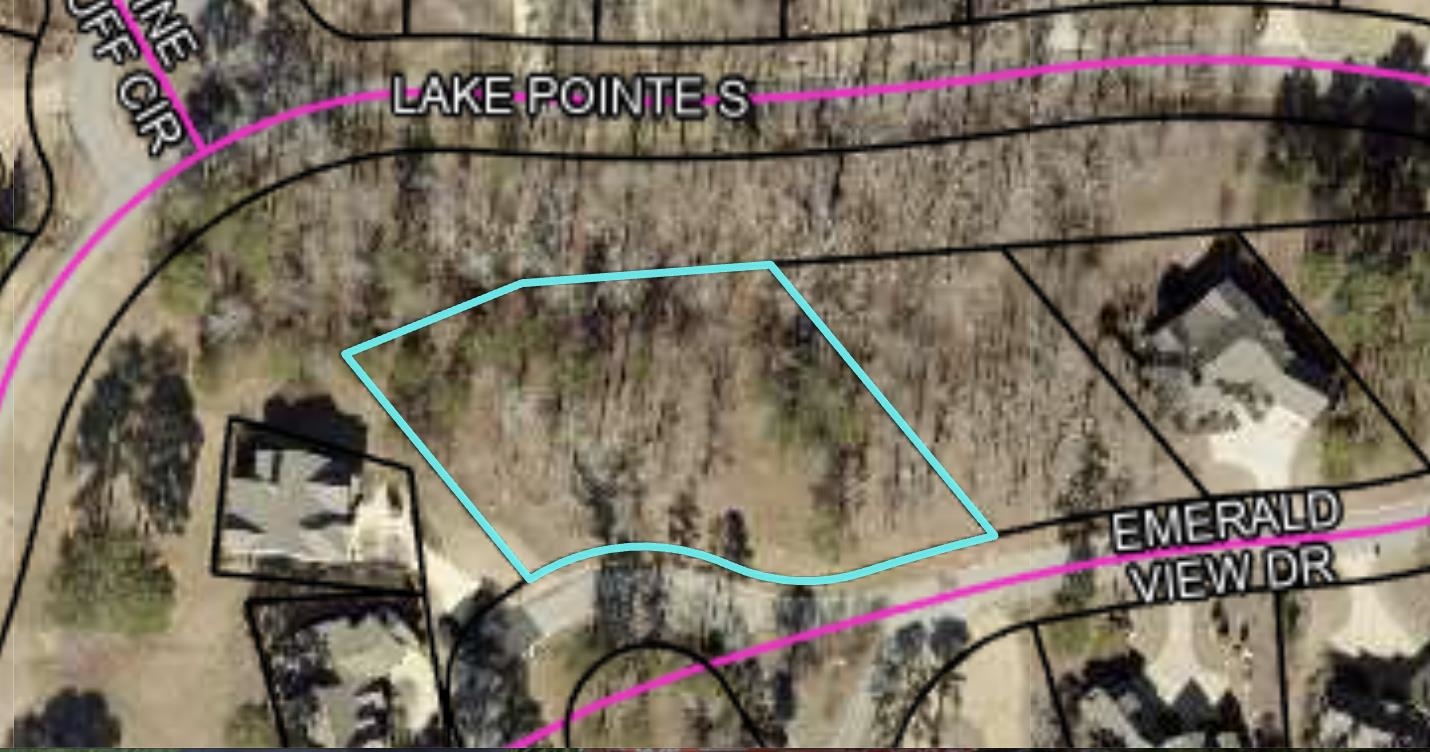 1051 Emerald View Drive image 1