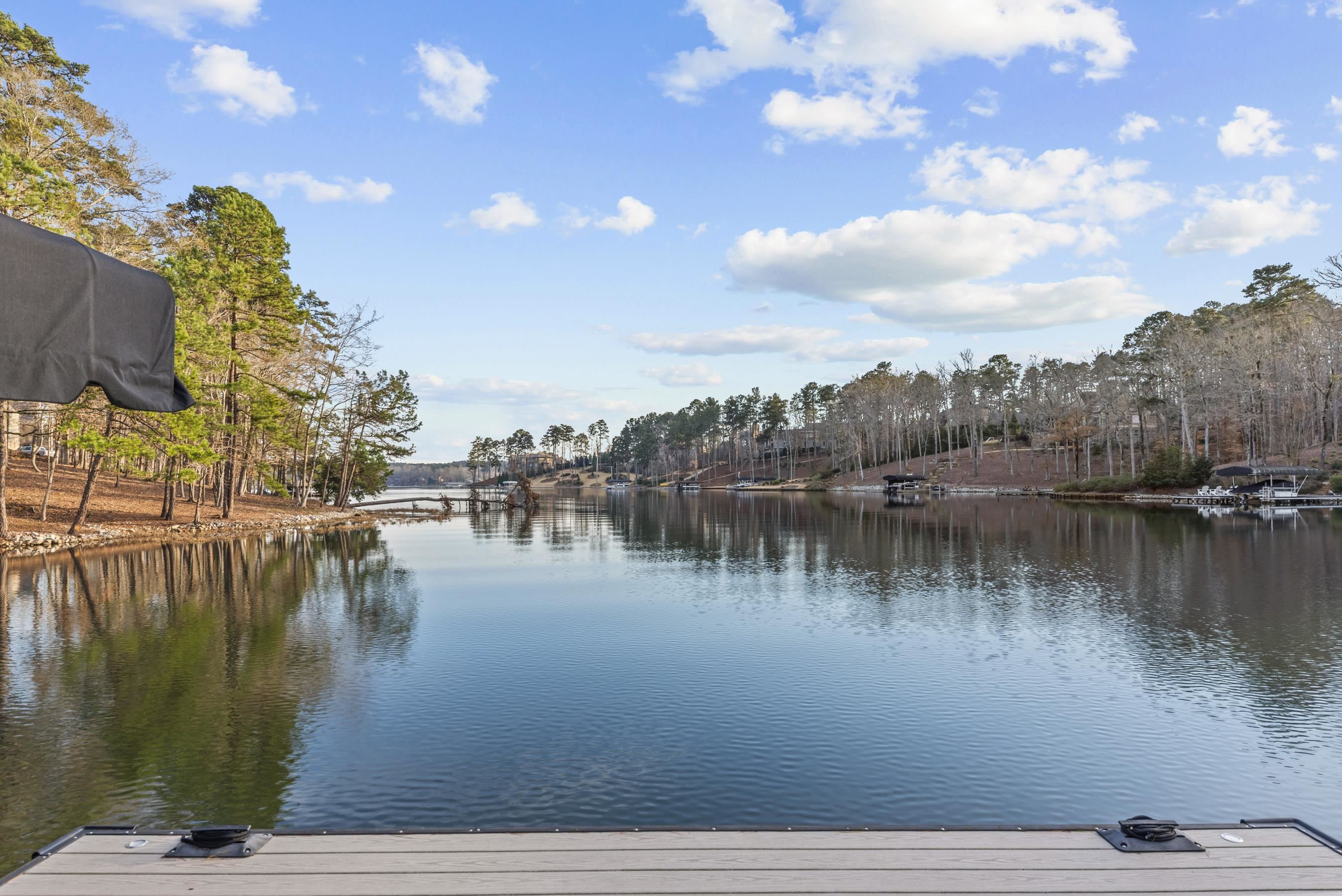 1131 NEARY RIDGE image 72