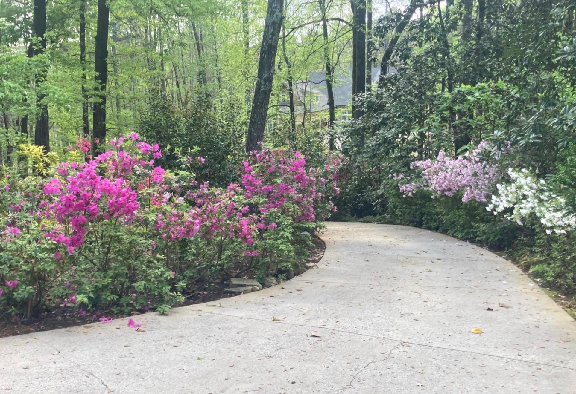 1091 MAPLE RIDGE WAY image 34